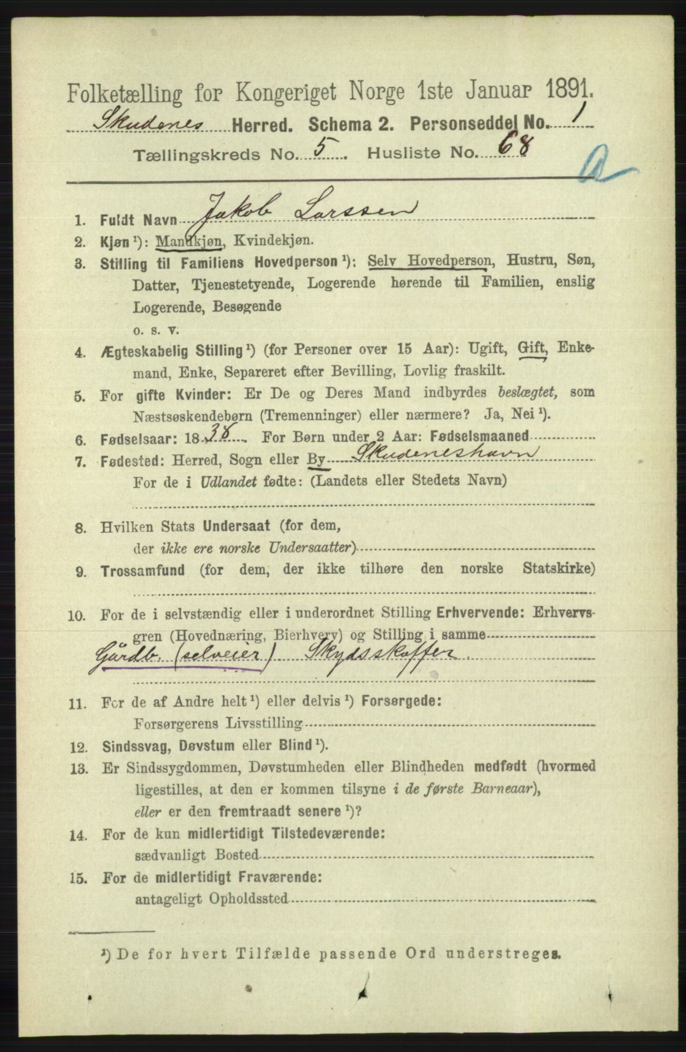 RA, 1891 census for 1150 Skudenes, 1891, p. 2904