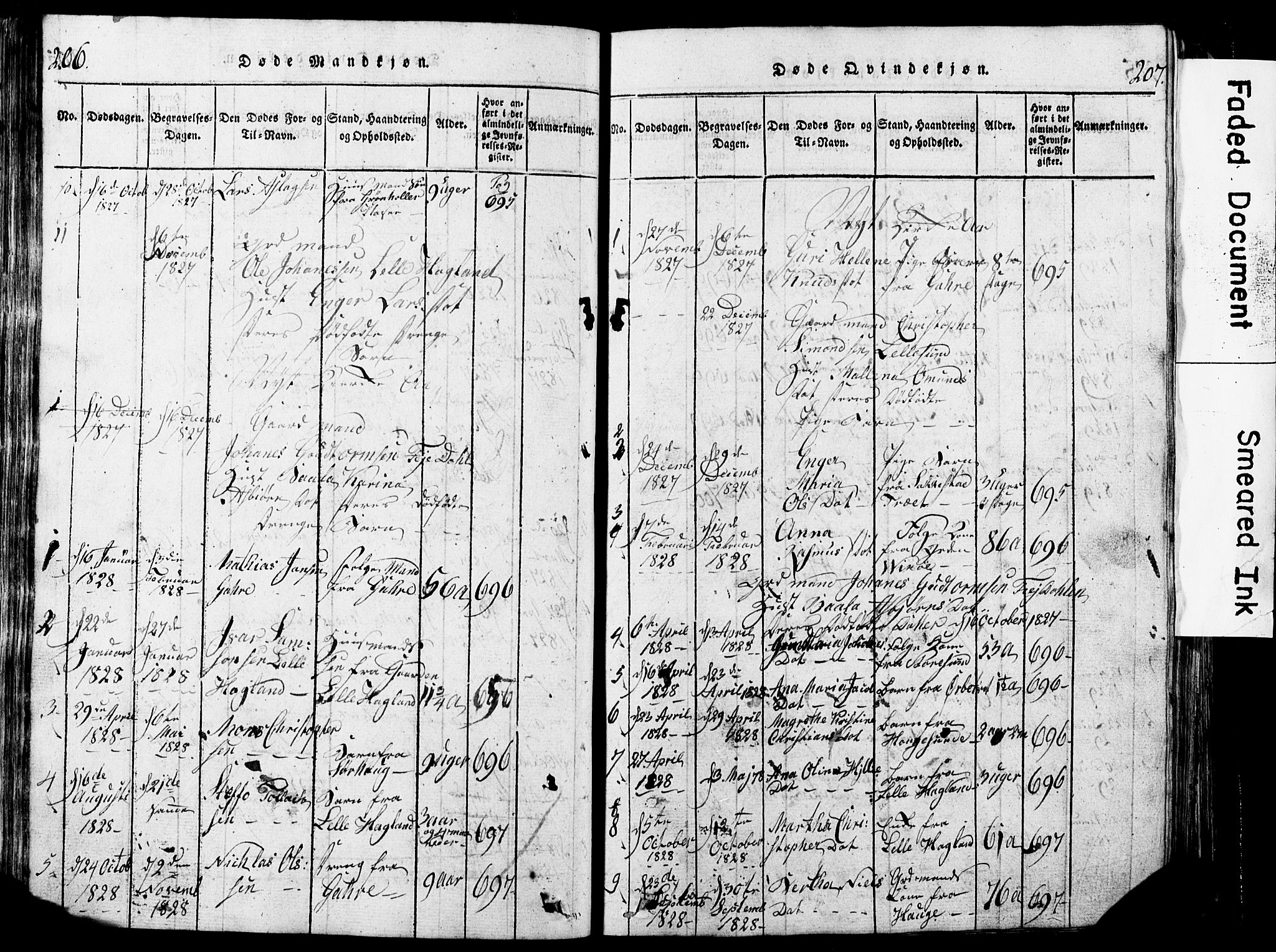 Torvastad sokneprestkontor, SAST/A -101857/H/Ha/Hab/L0002: Parish register (copy) no. B 2, 1817-1834, p. 206-207