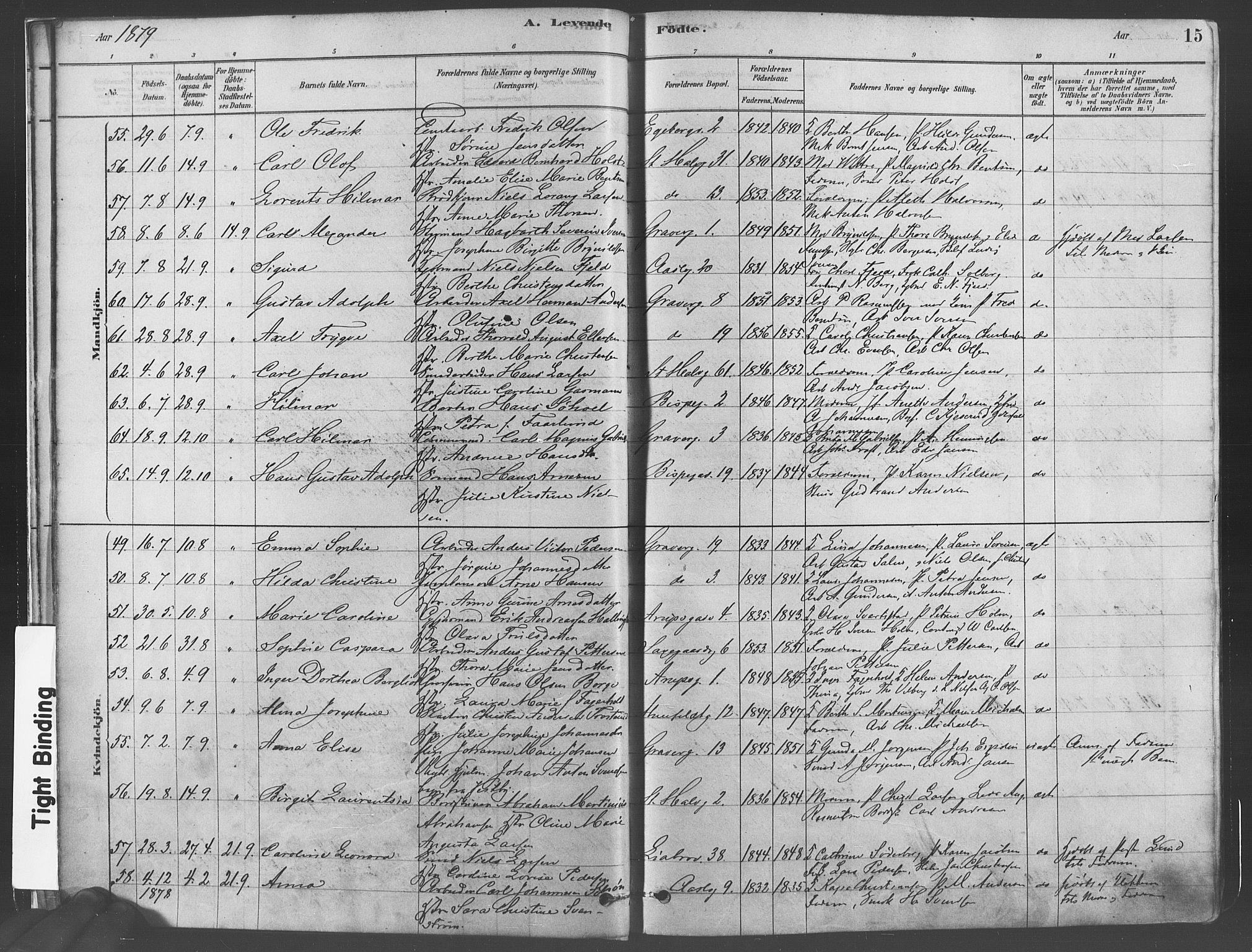 Gamlebyen prestekontor Kirkebøker, SAO/A-10884/F/Fa/L0005: Parish register (official) no. 5, 1878-1889, p. 15