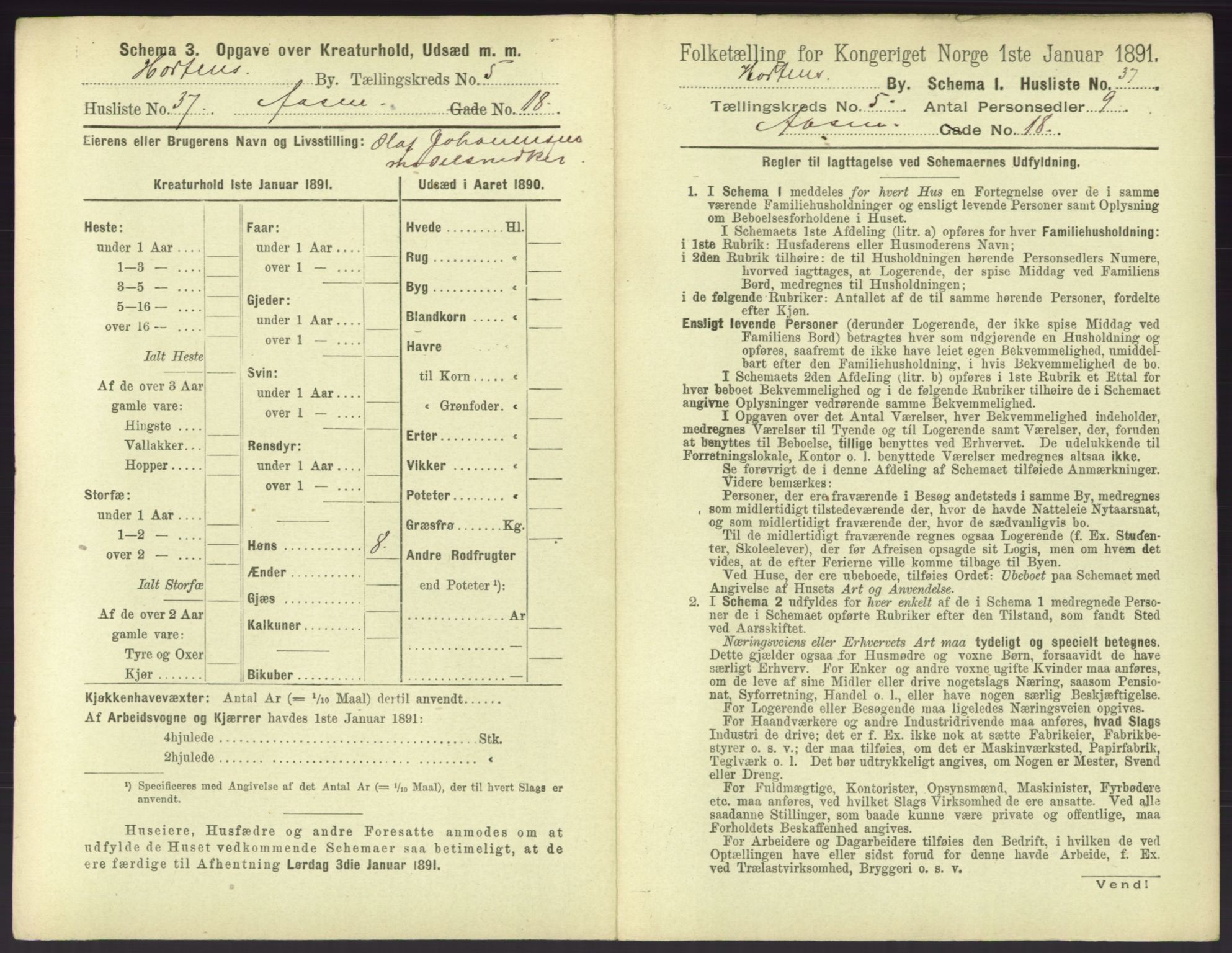 RA, 1891 census for 0703 Horten, 1891, p. 537