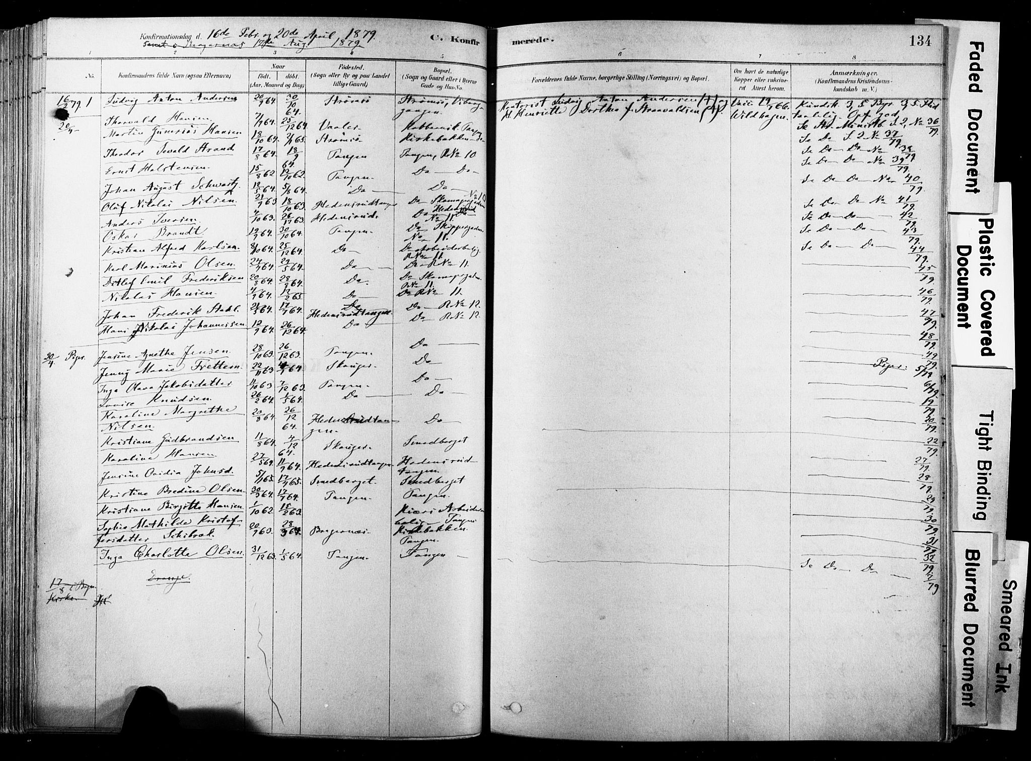 Strømsø kirkebøker, SAKO/A-246/F/Fb/L0006: Parish register (official) no. II 6, 1879-1910, p. 134