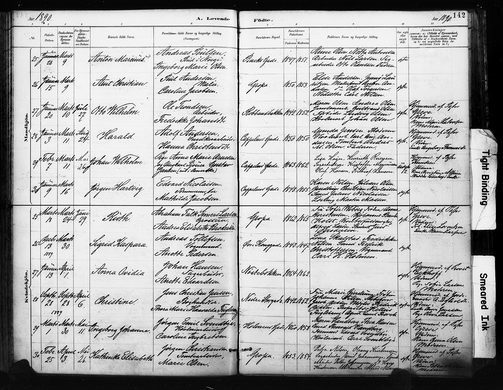 Bragernes kirkebøker, SAKO/A-6/F/Fb/L0007: Parish register (official) no. II 7, 1885-1893, p. 142