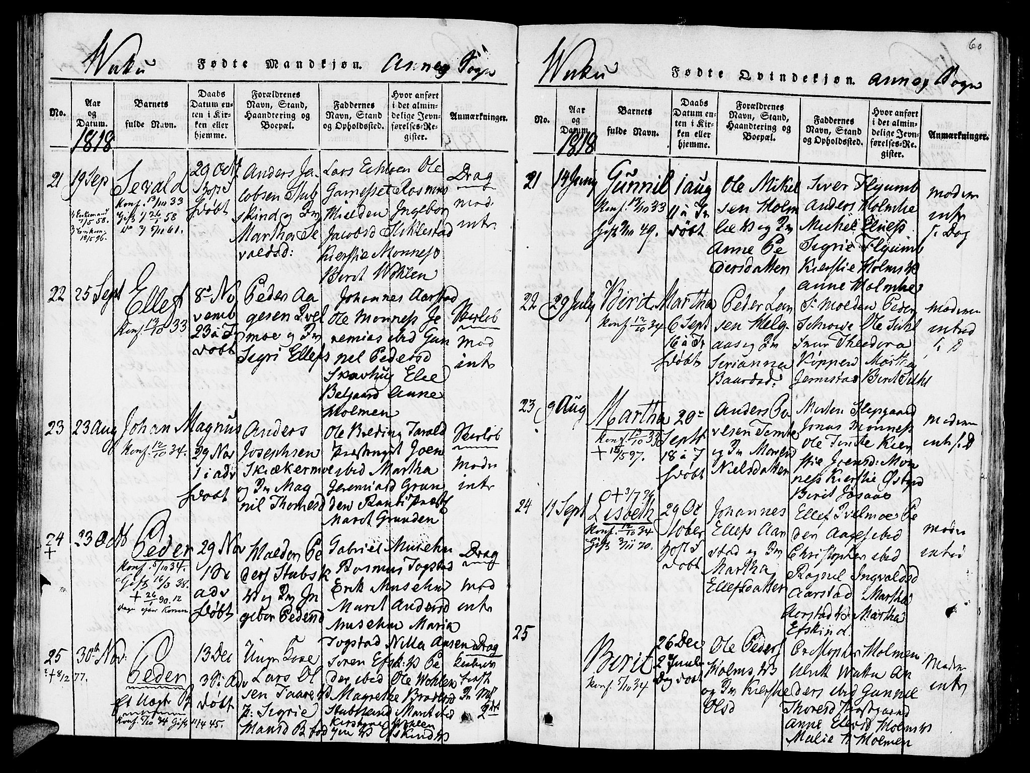Ministerialprotokoller, klokkerbøker og fødselsregistre - Nord-Trøndelag, SAT/A-1458/723/L0234: Parish register (official) no. 723A05 /2, 1816-1821, p. 60