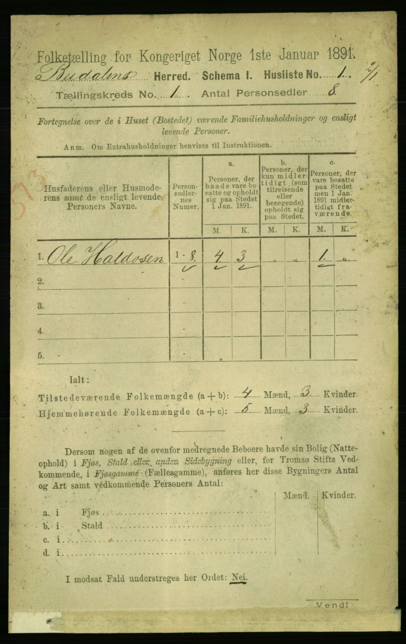 RA, 1891 census for 1647 Budal, 1891, p. 13