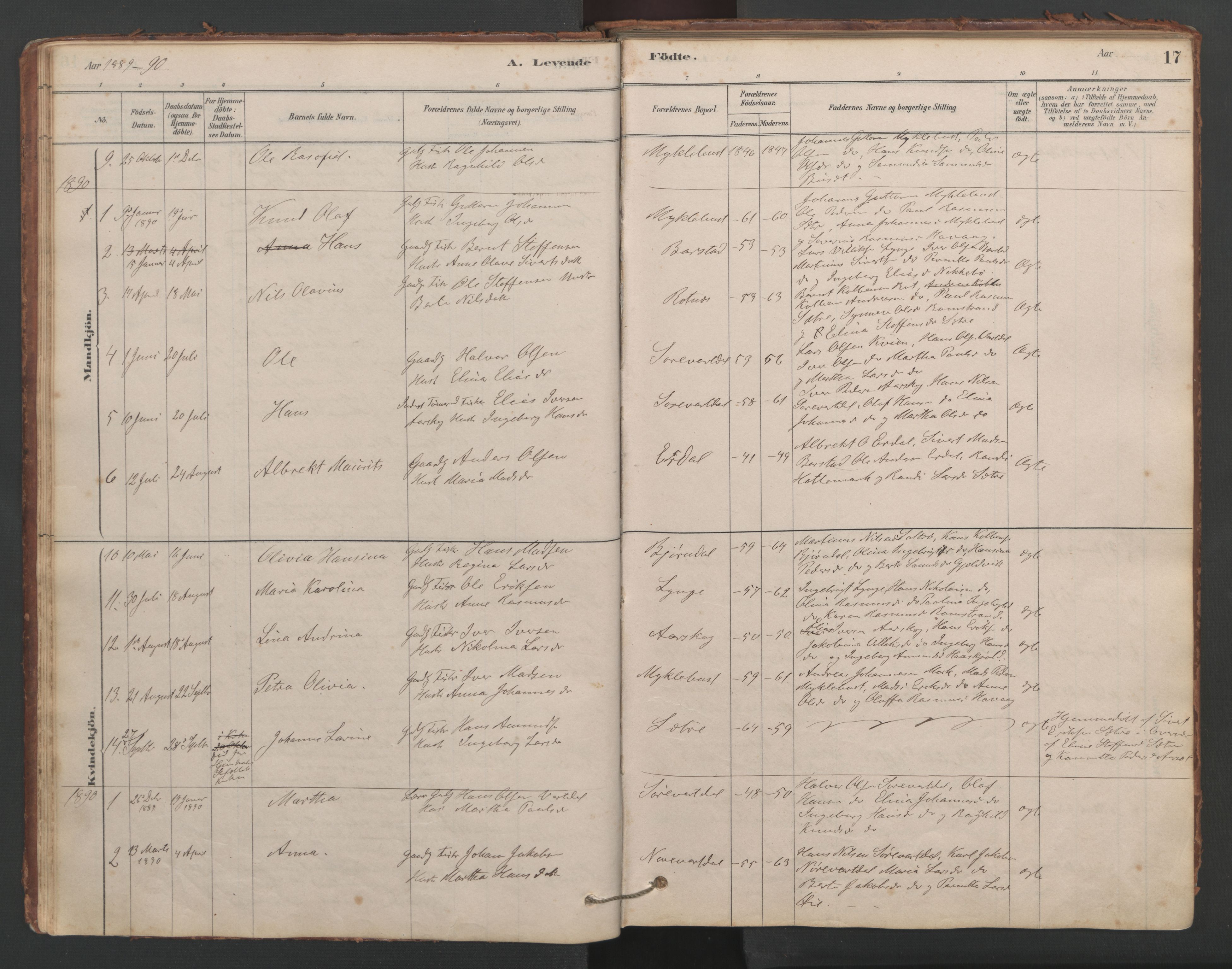 Ministerialprotokoller, klokkerbøker og fødselsregistre - Møre og Romsdal, SAT/A-1454/514/L0201: Parish register (copy) no. 514C01, 1878-1919, p. 17