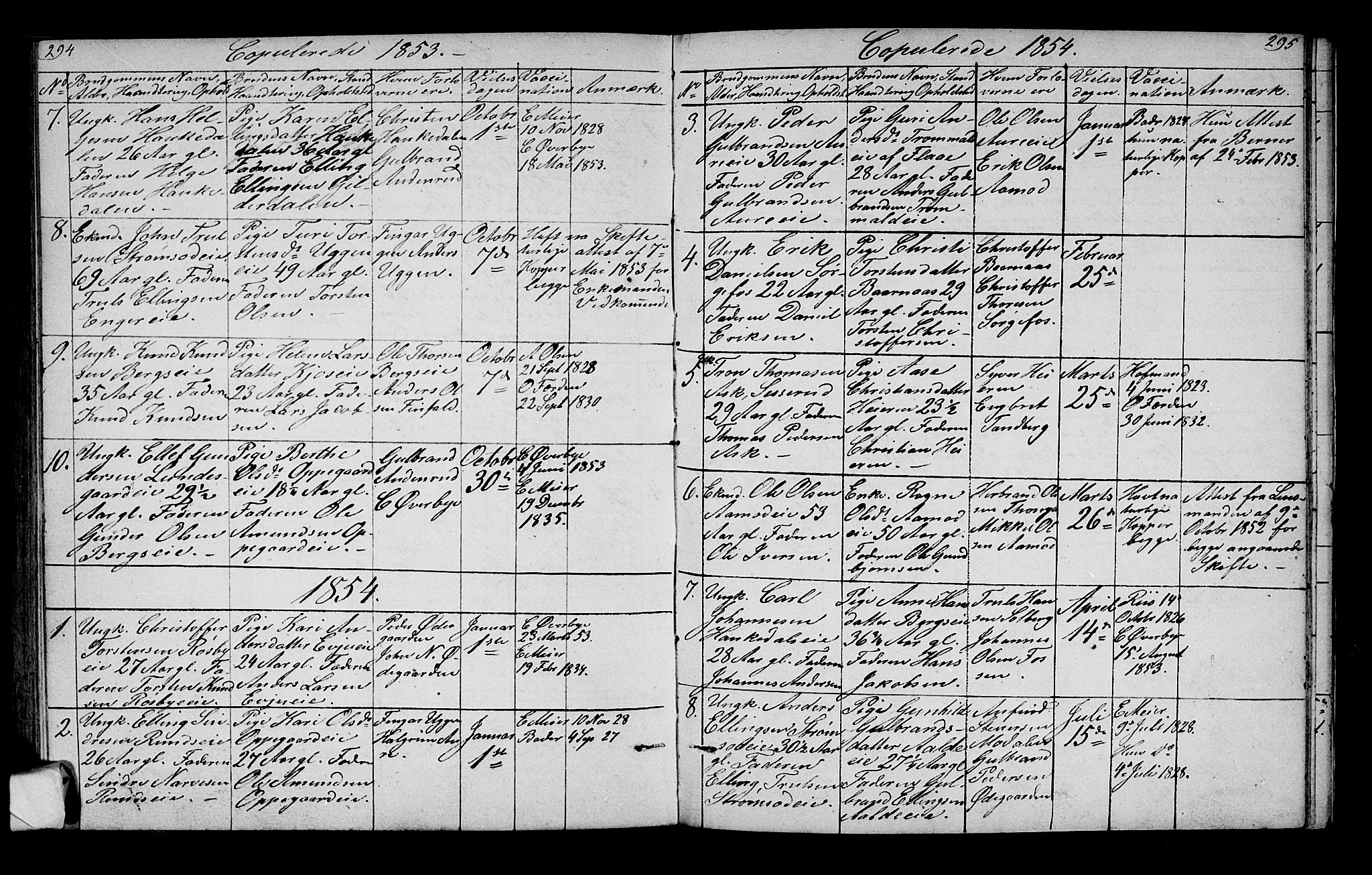 Lunder kirkebøker, SAKO/A-629/G/Ga/L0002: Parish register (copy) no. I 2, 1849-1868, p. 294-295