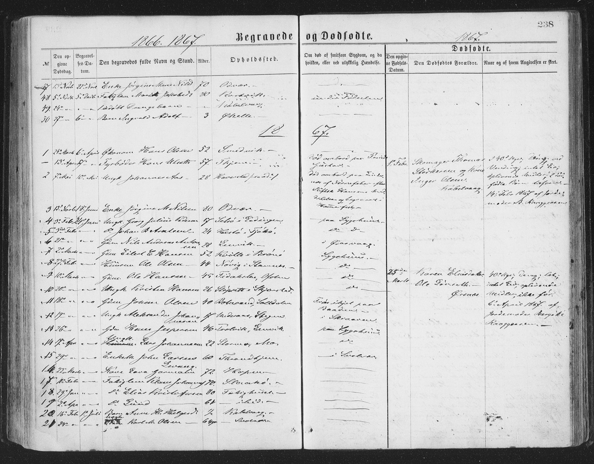 Ministerialprotokoller, klokkerbøker og fødselsregistre - Nordland, AV/SAT-A-1459/874/L1057: Parish register (official) no. 874A01, 1866-1877, p. 238