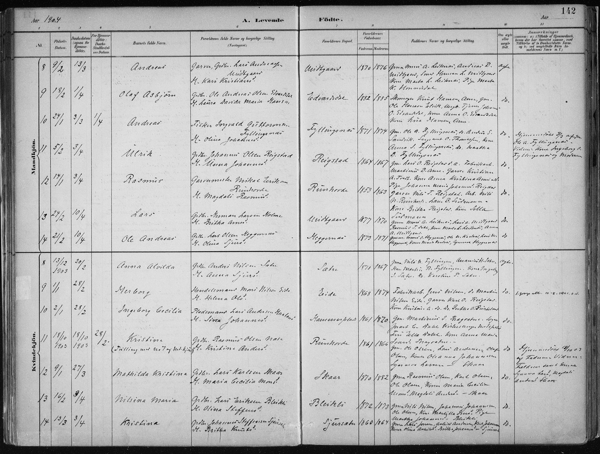 Hamre sokneprestembete, AV/SAB-A-75501/H/Ha/Haa/Haab/L0001: Parish register (official) no. B  1, 1882-1905, p. 142