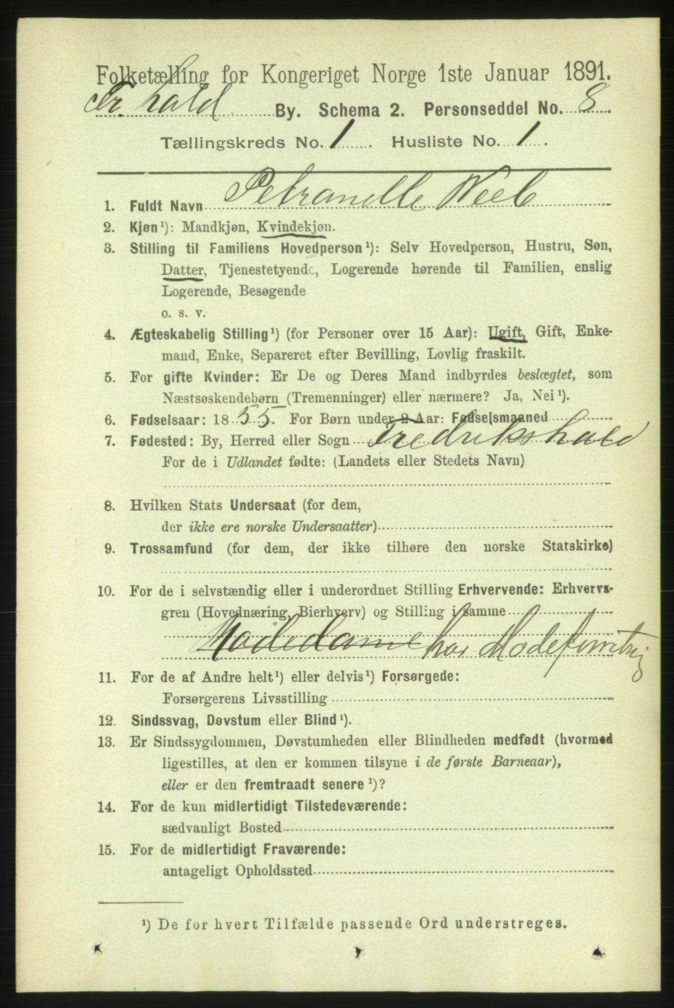 RA, 1891 census for 0101 Fredrikshald, 1891, p. 1966