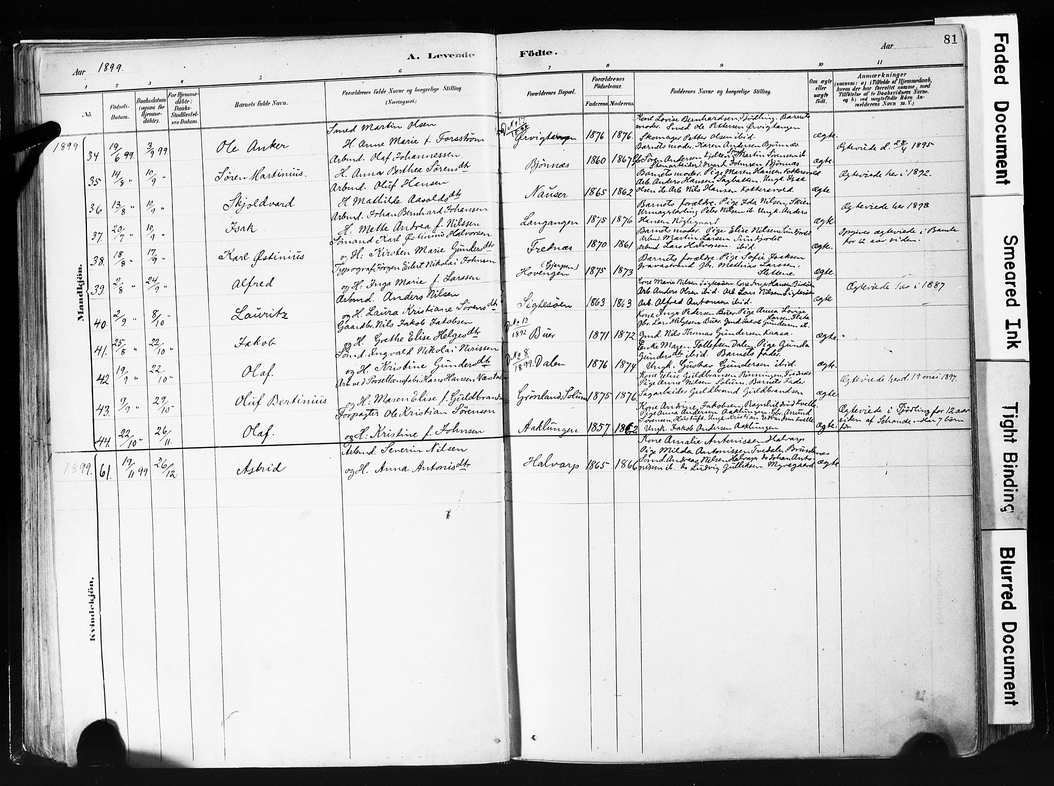 Eidanger kirkebøker, AV/SAKO-A-261/F/Fa/L0012: Parish register (official) no. 12, 1879-1900, p. 81