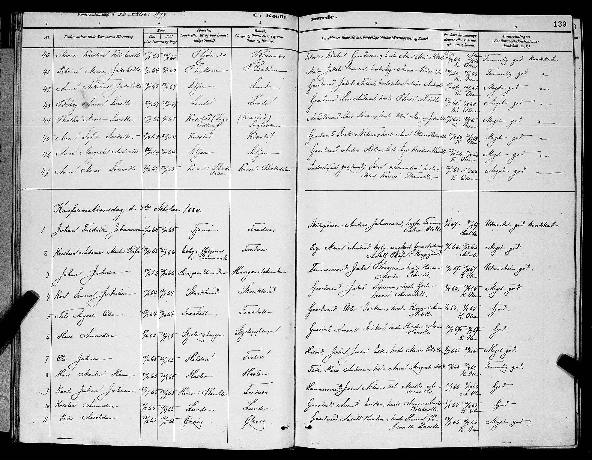 Eidanger kirkebøker, AV/SAKO-A-261/G/Ga/L0002: Parish register (copy) no. 2, 1879-1892, p. 139