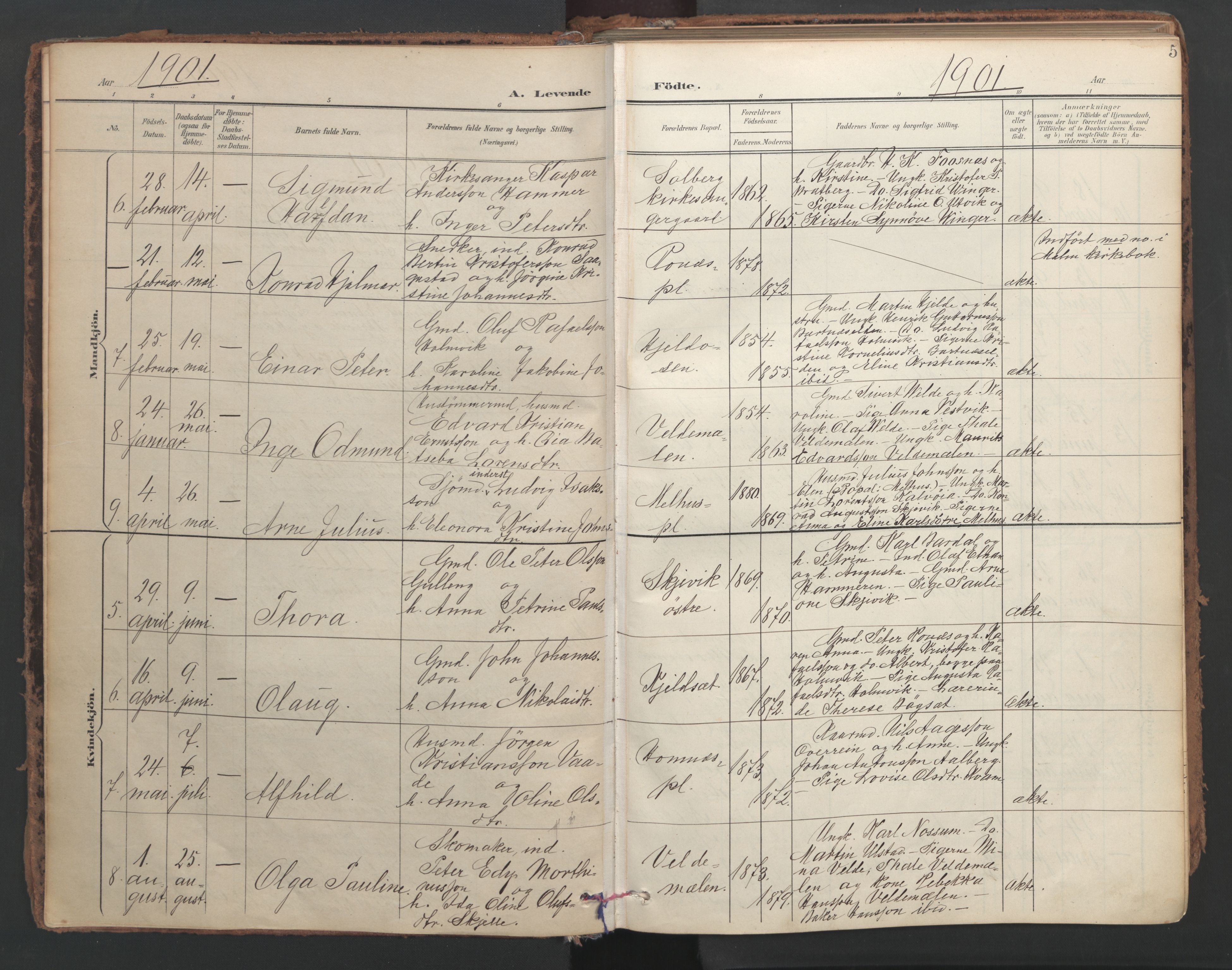 Ministerialprotokoller, klokkerbøker og fødselsregistre - Nord-Trøndelag, SAT/A-1458/741/L0397: Parish register (official) no. 741A11, 1901-1911, p. 5