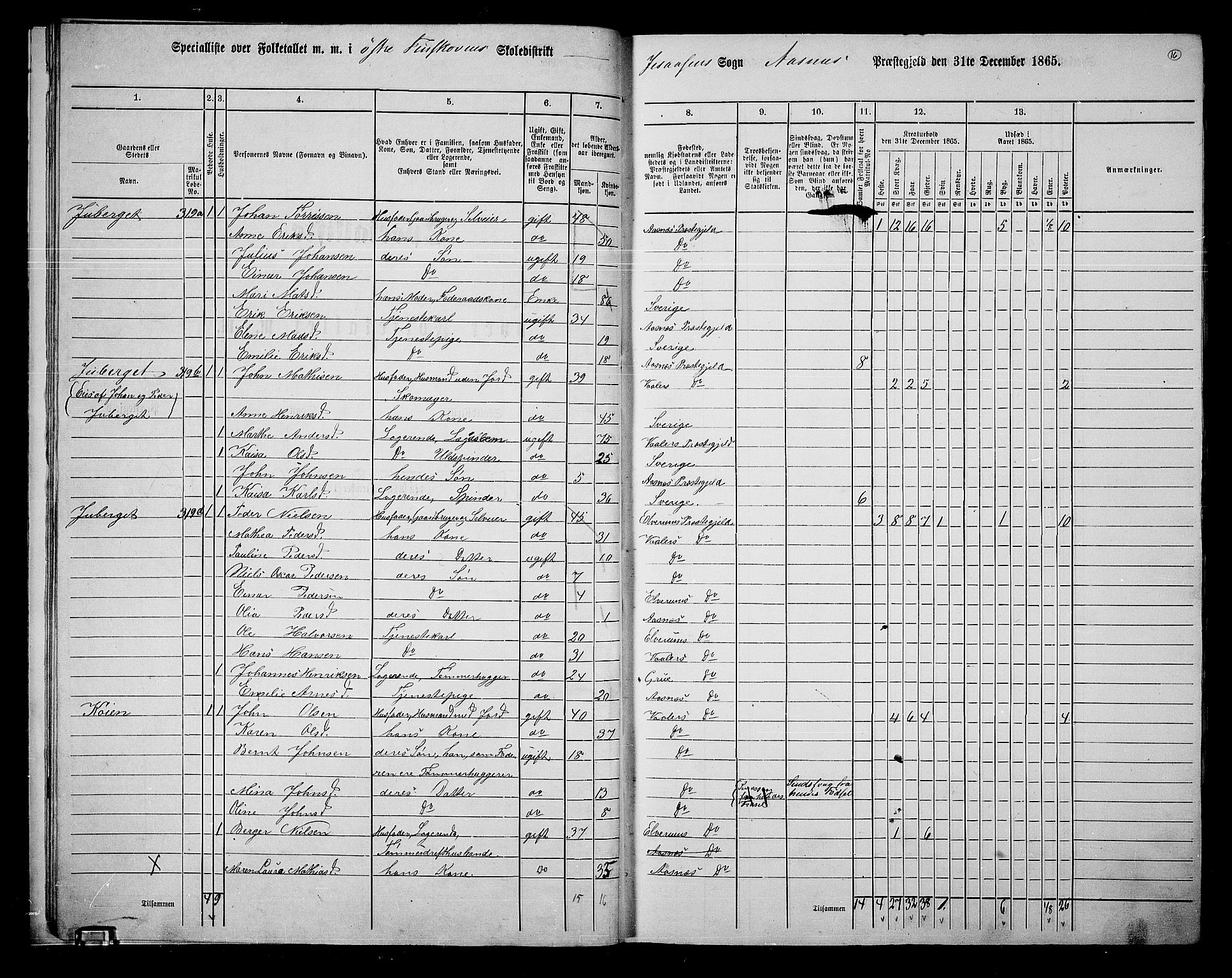 RA, 1865 census for Åsnes, 1865, p. 13