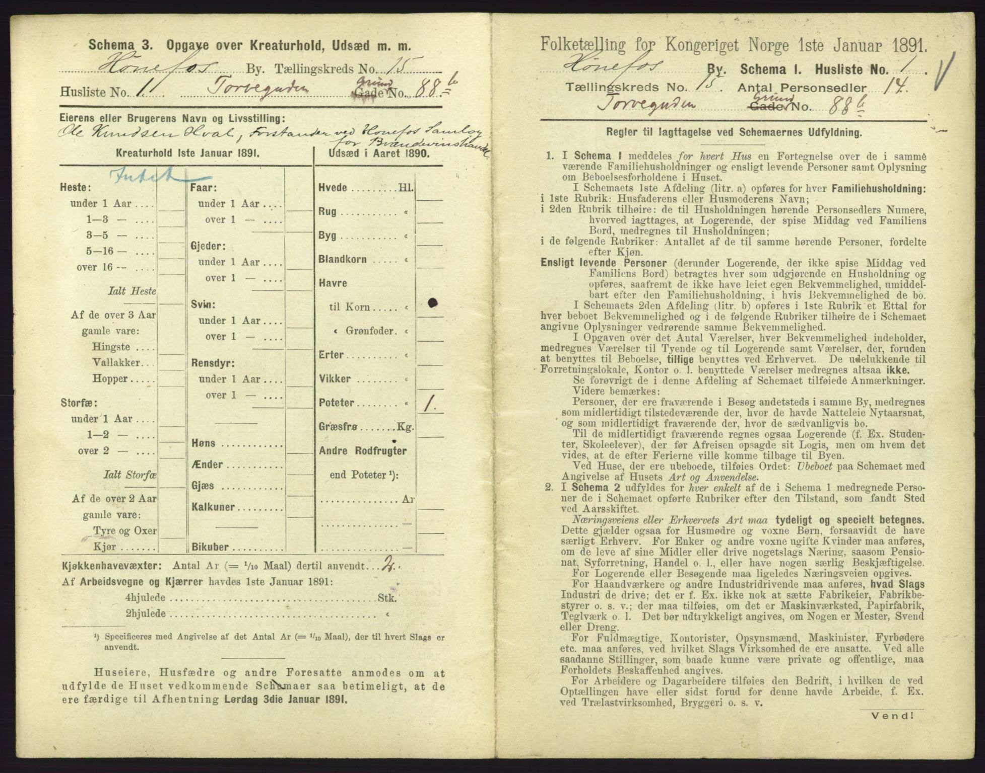 RA, 1891 census for 0601 Hønefoss, 1891, p. 319