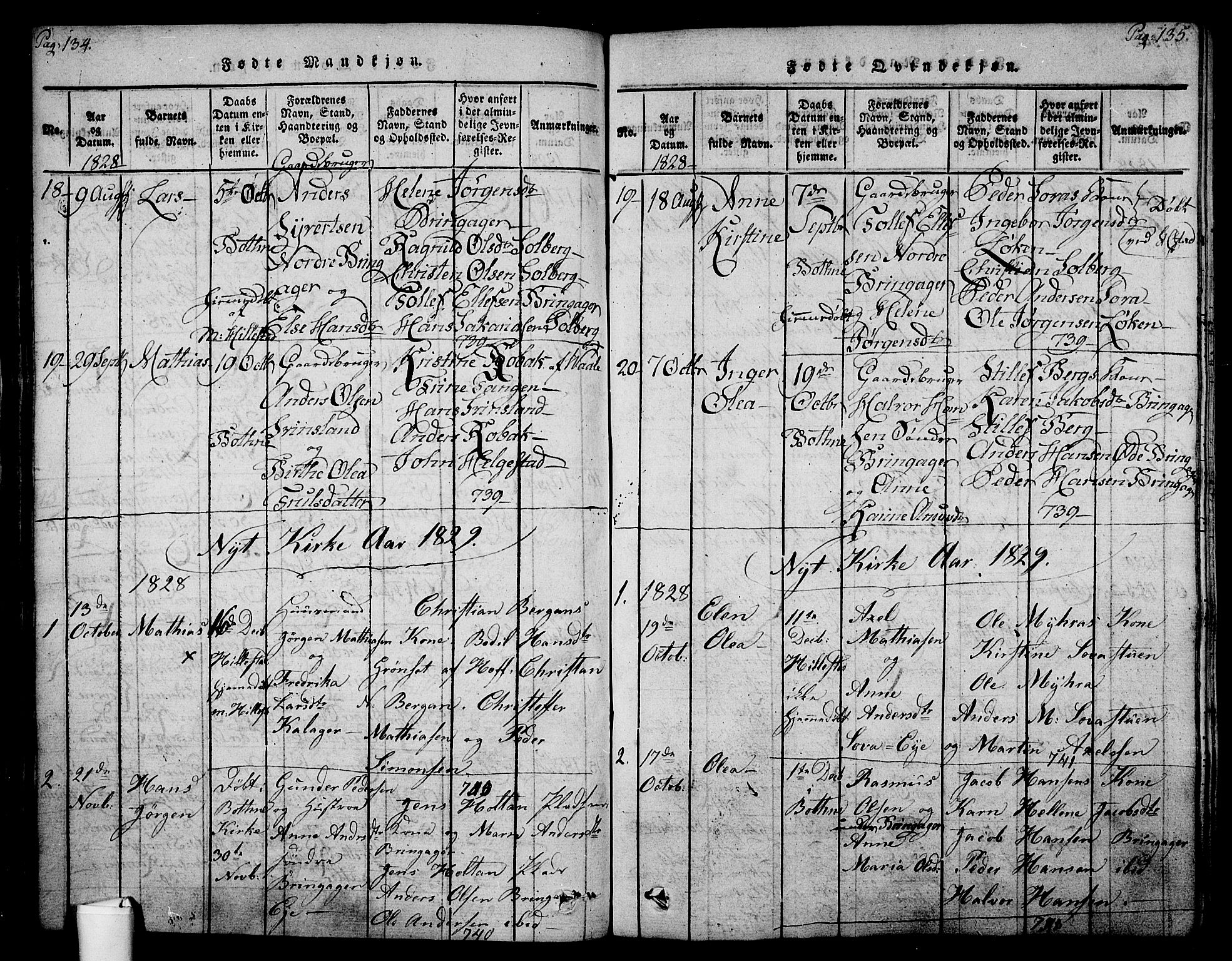 Botne kirkebøker, AV/SAKO-A-340/F/Fa/L0005: Parish register (official) no. I 5, 1814-1836, p. 134-135