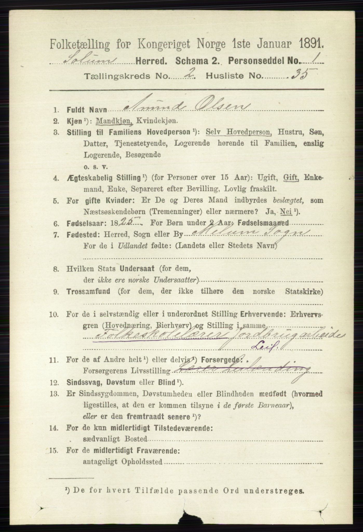 RA, 1891 census for 0818 Solum, 1891, p. 289