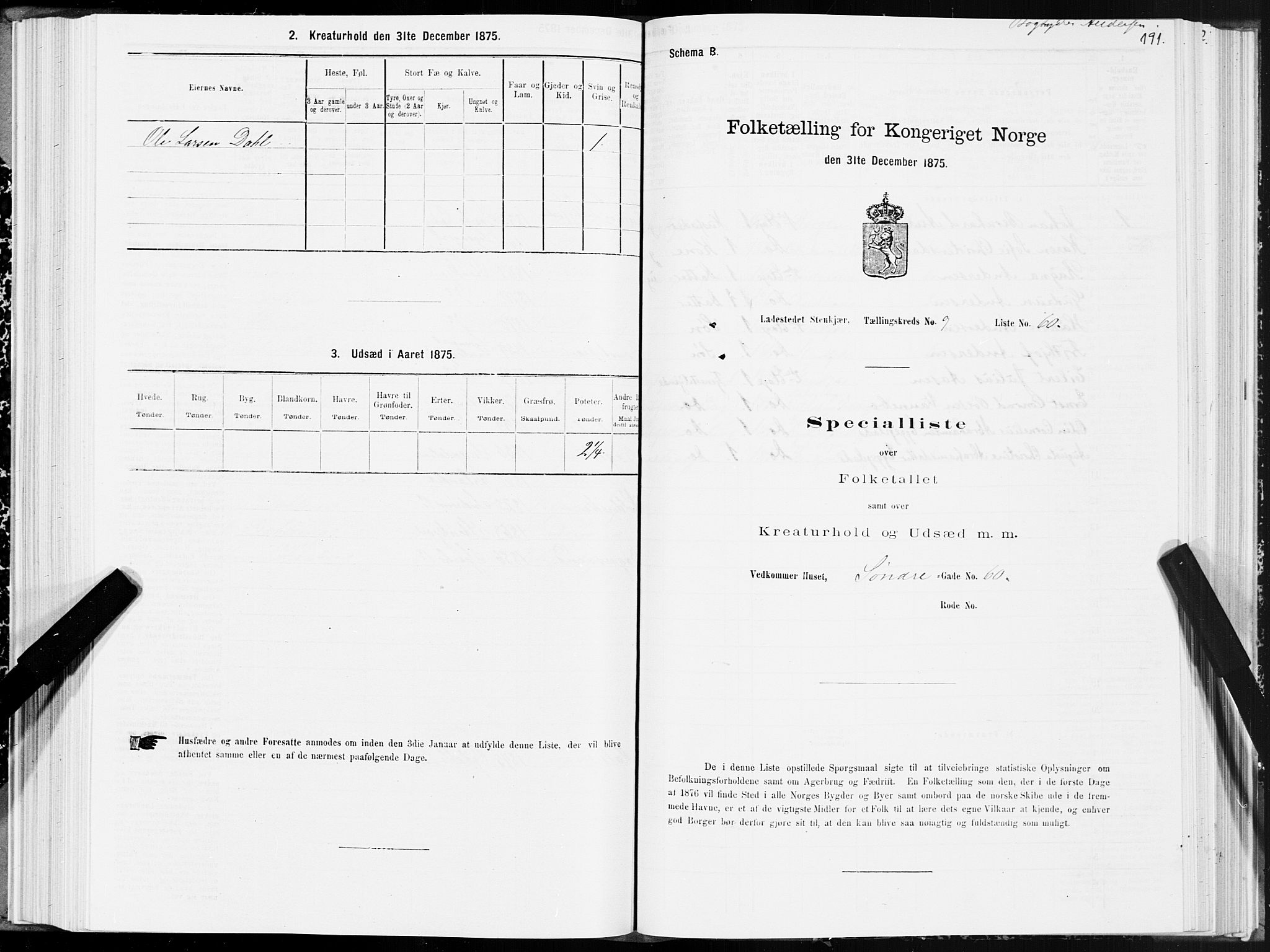 SAT, 1875 census for 1702B Steinkjer/Steinkjer, 1875, p. 191