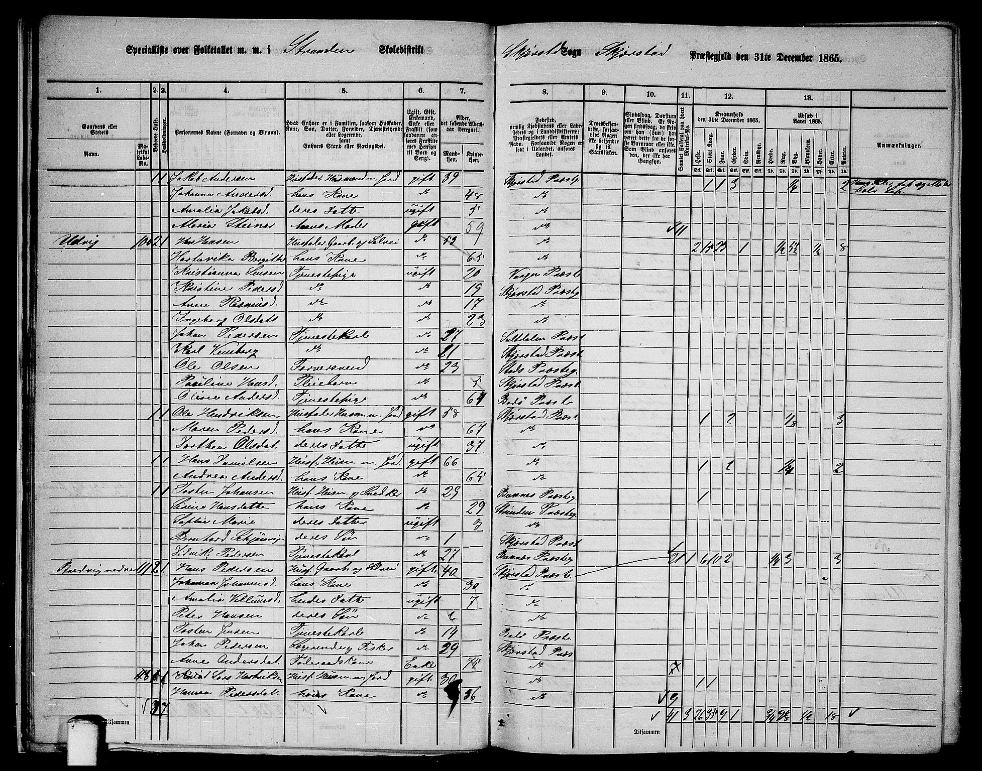 RA, 1865 census for Skjerstad, 1865, p. 21