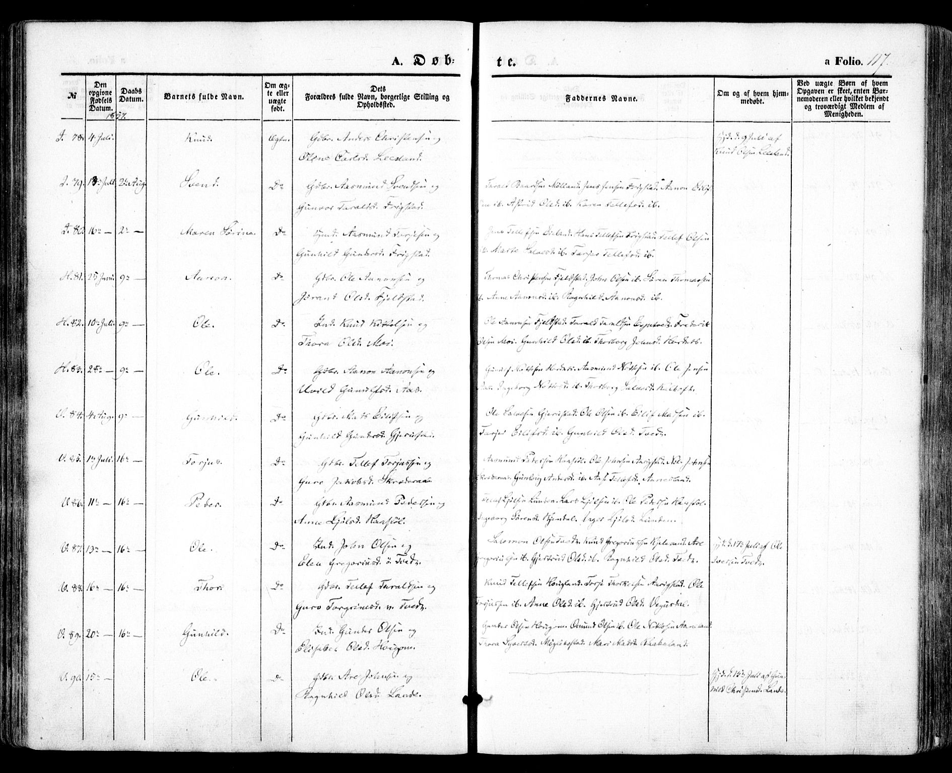 Evje sokneprestkontor, AV/SAK-1111-0008/F/Fa/Faa/L0005: Parish register (official) no. A 5, 1843-1865, p. 117