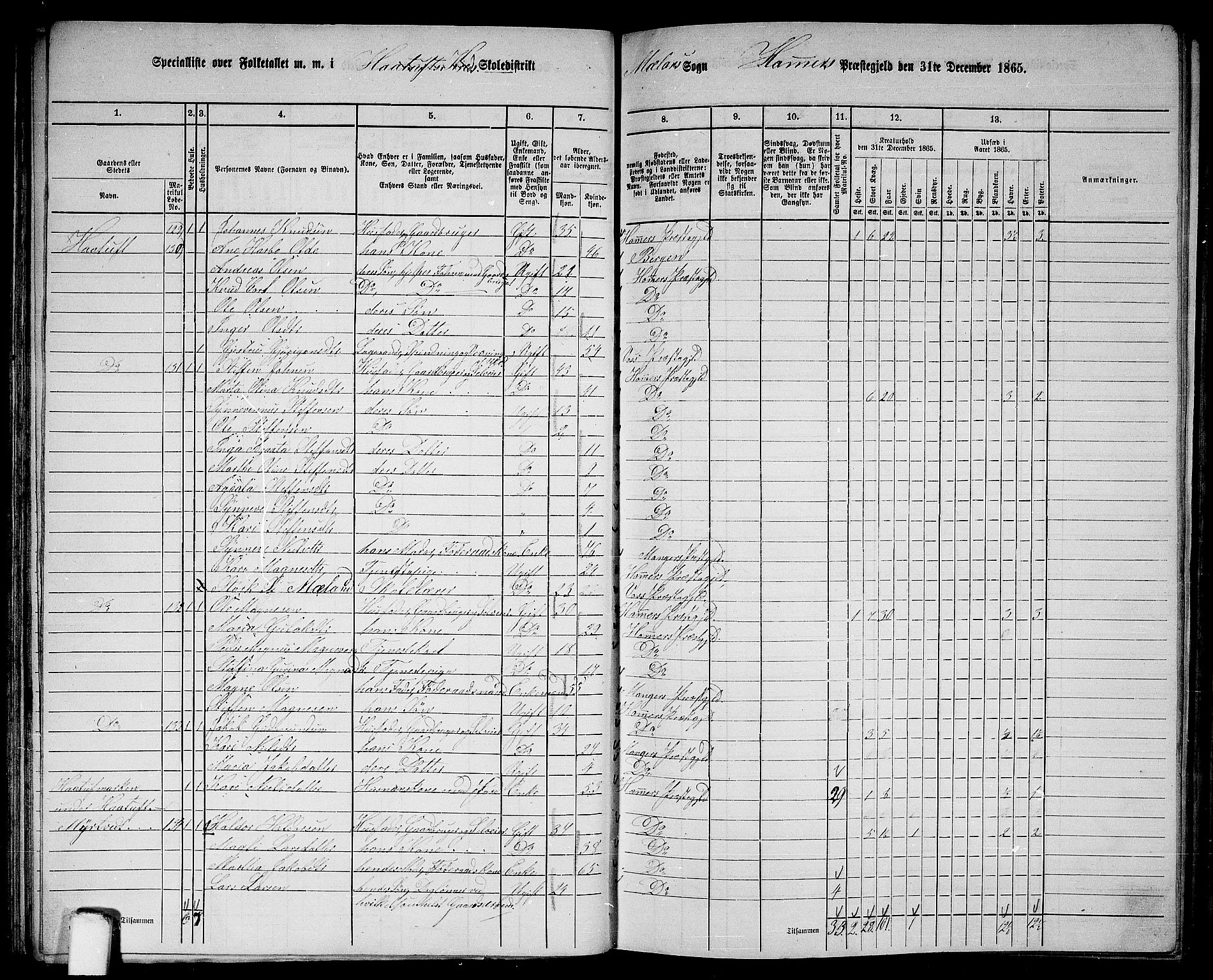 RA, 1865 census for Hamre, 1865, p. 63