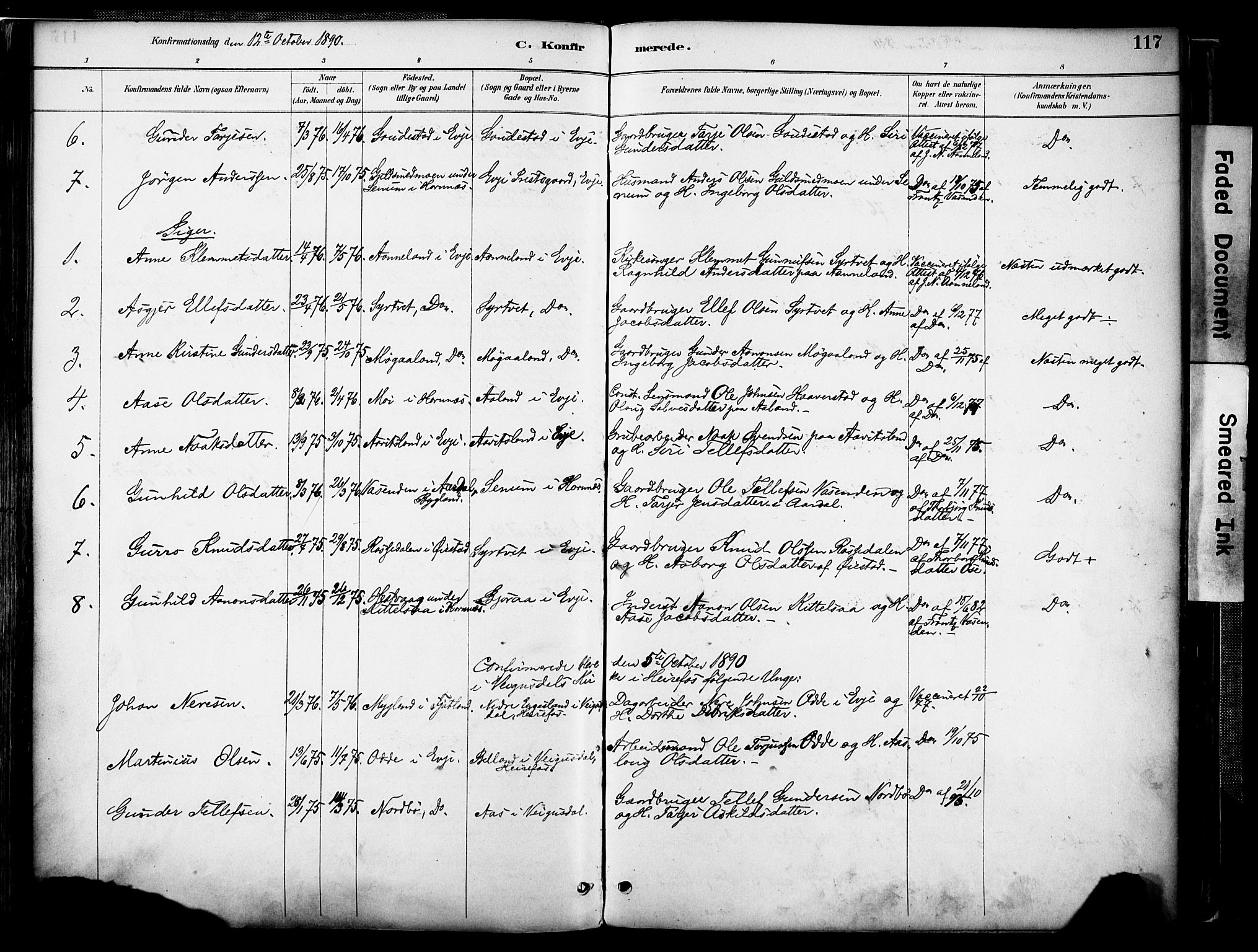 Evje sokneprestkontor, AV/SAK-1111-0008/F/Fa/Faa/L0007: Parish register (official) no. A 7, 1884-1909, p. 117