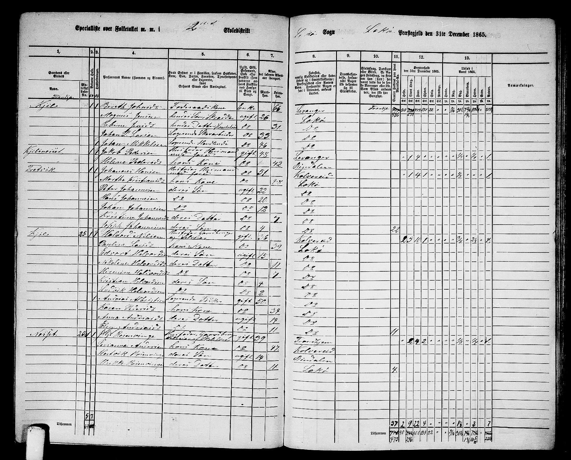 RA, 1865 census for Leka, 1865, p. 21