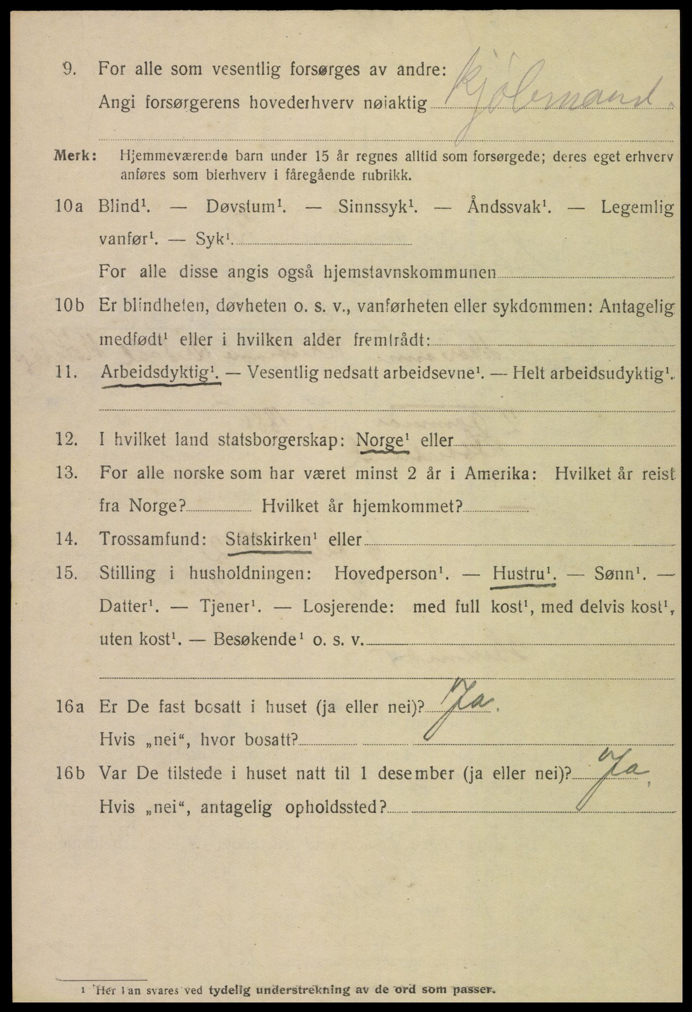 SAT, 1920 census for Steinkjer, 1920, p. 5733