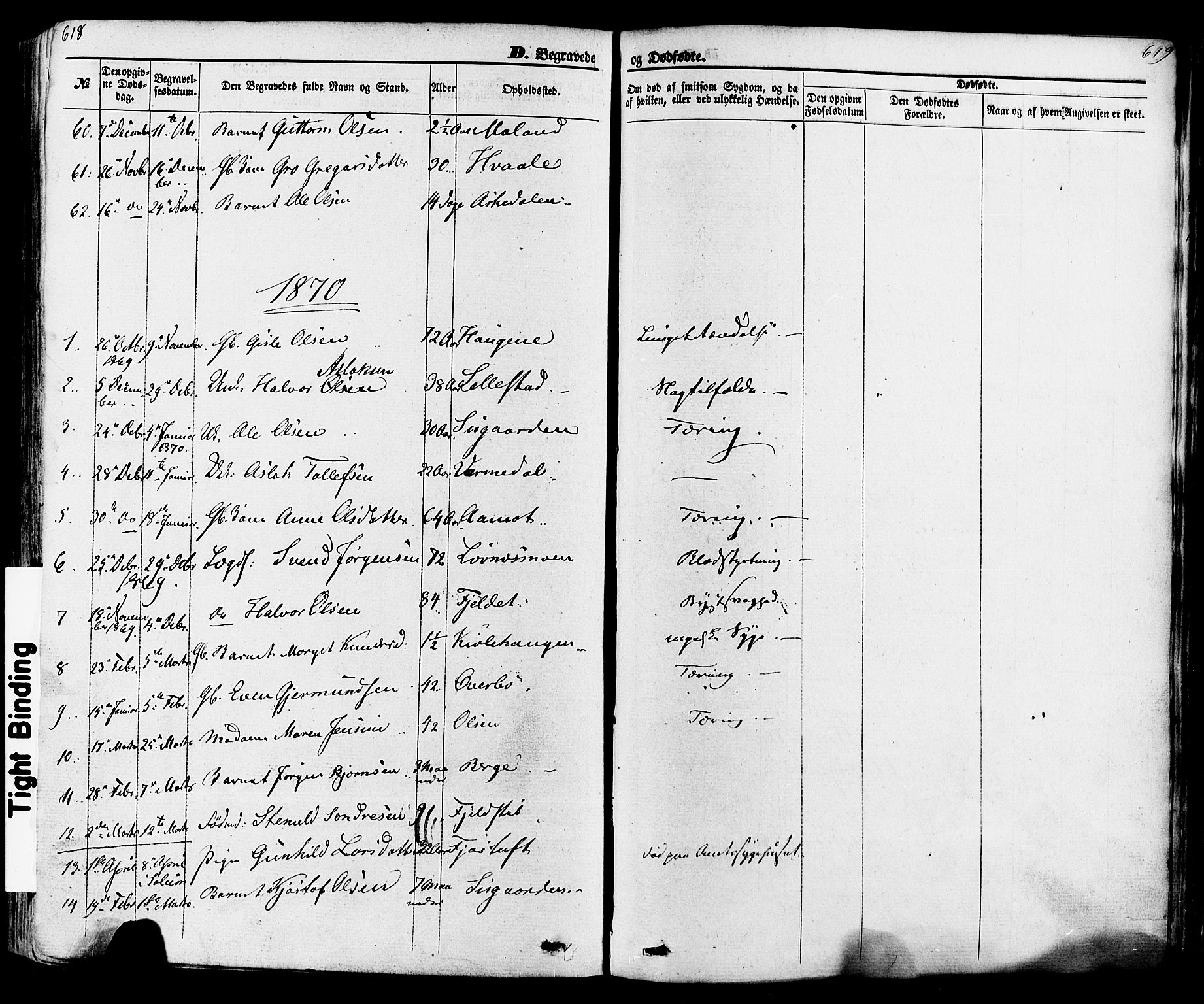 Seljord kirkebøker, SAKO/A-20/F/Fa/L0013: Parish register (official) no. I 13, 1866-1876, p. 618-619