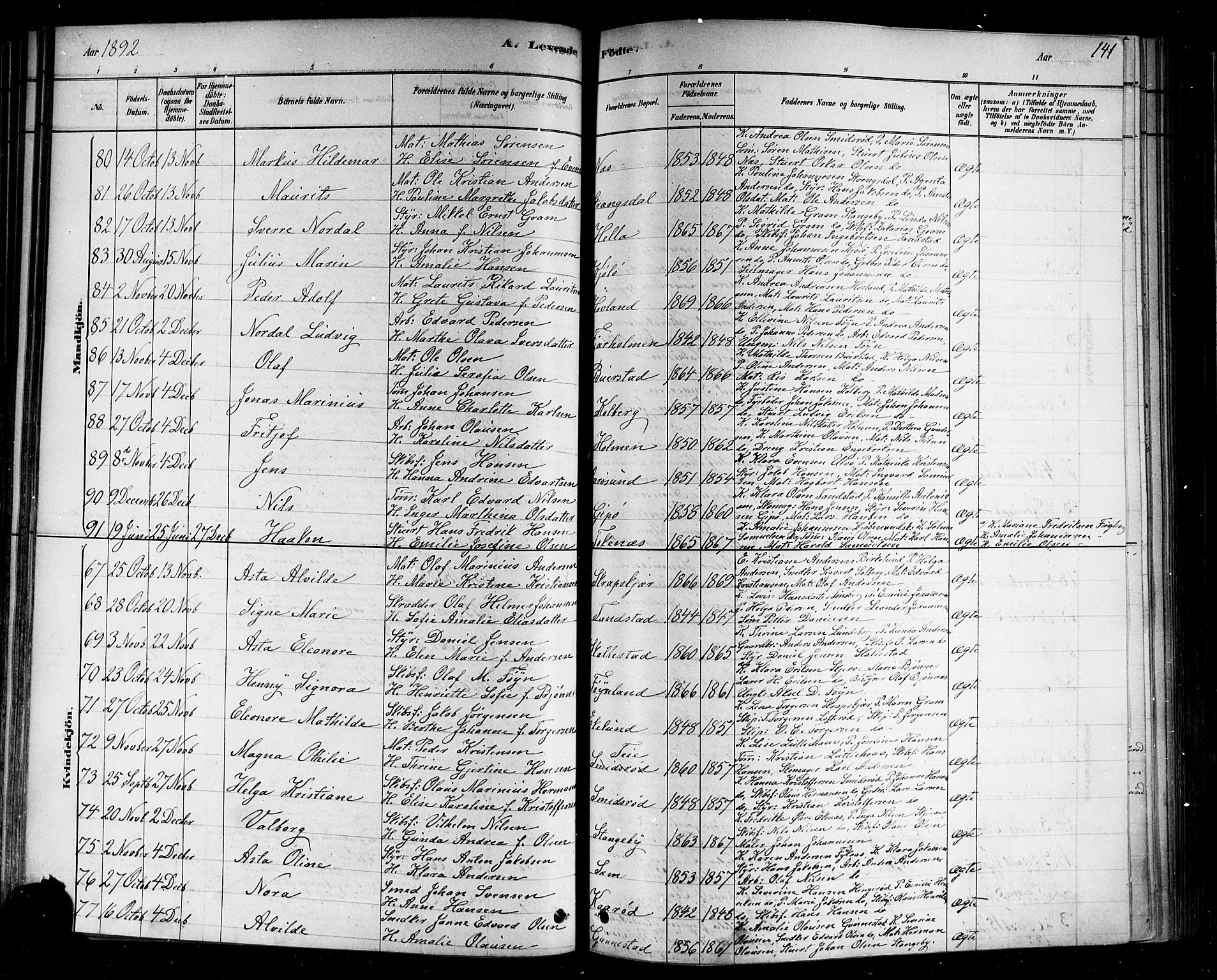 Nøtterøy kirkebøker, AV/SAKO-A-354/F/Fa/L0008: Parish register (official) no. I 8, 1878-1893, p. 141