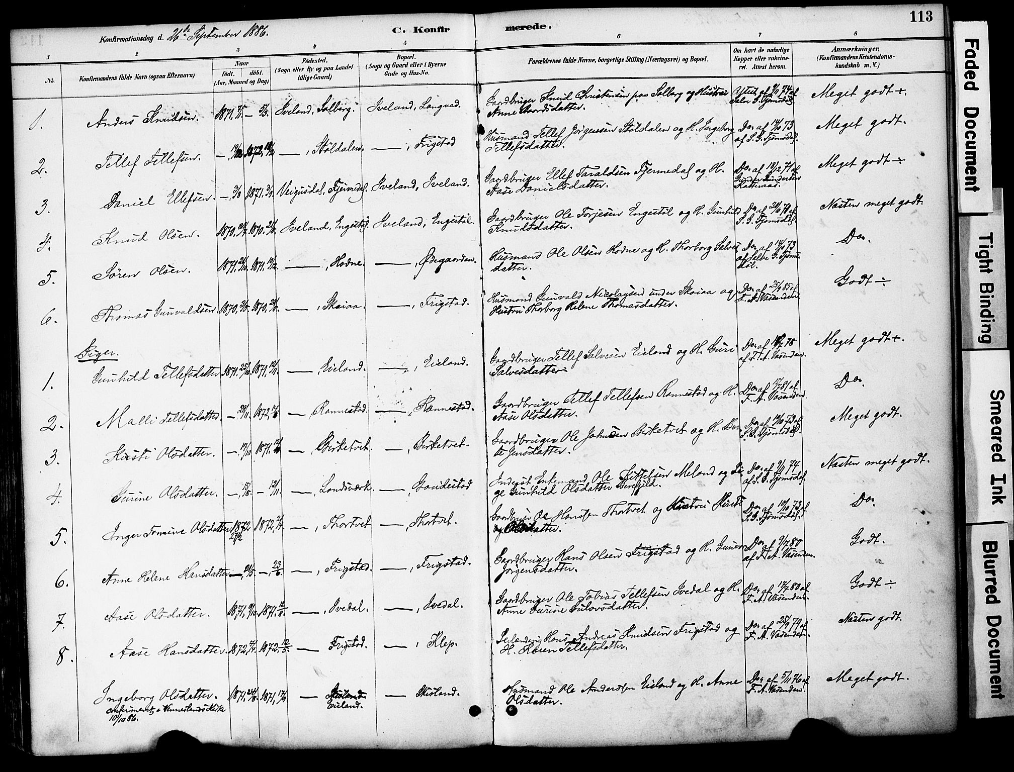 Evje sokneprestkontor, AV/SAK-1111-0008/F/Fa/Fac/L0003: Parish register (official) no. A 3, 1884-1909, p. 113