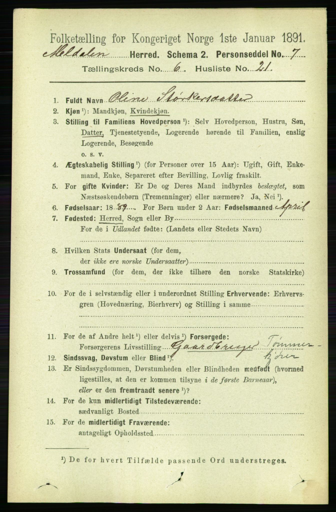 RA, 1891 census for 1636 Meldal, 1891, p. 3004