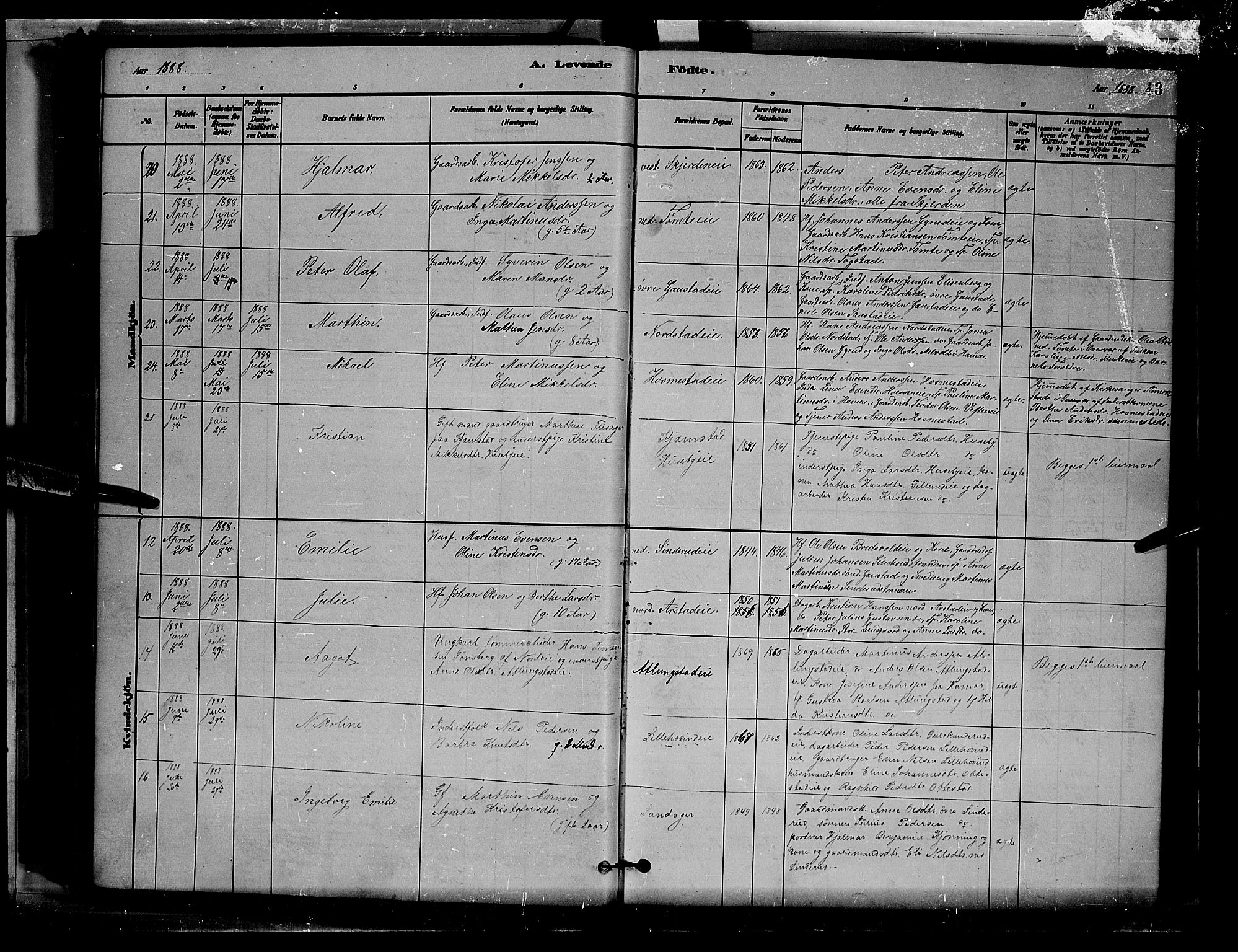 Stange prestekontor, AV/SAH-PREST-002/L/L0007: Parish register (copy) no. 7, 1880-1893, p. 43