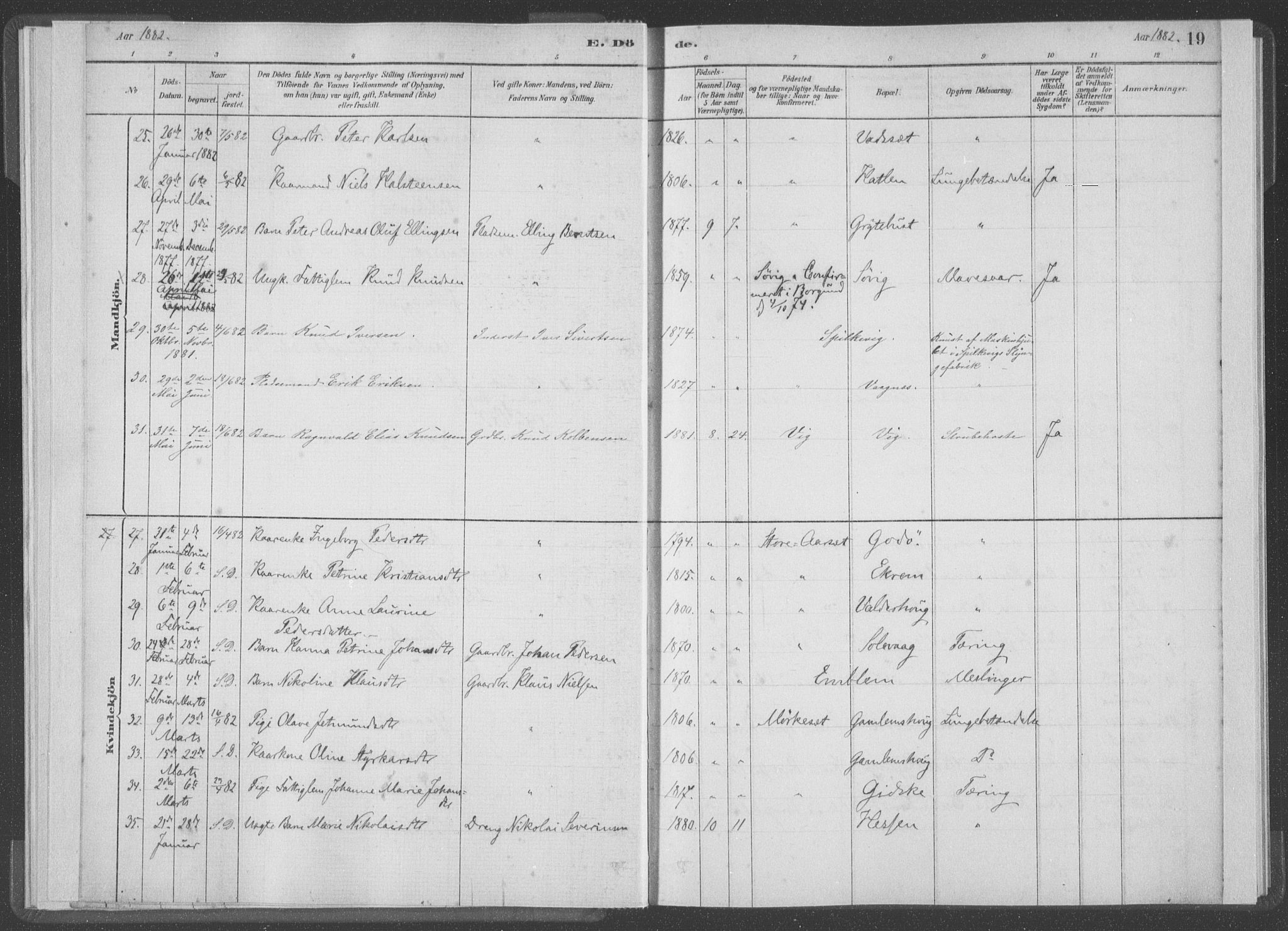 Ministerialprotokoller, klokkerbøker og fødselsregistre - Møre og Romsdal, AV/SAT-A-1454/528/L0403: Parish register (official) no. 528A13I, 1880-1947, p. 19