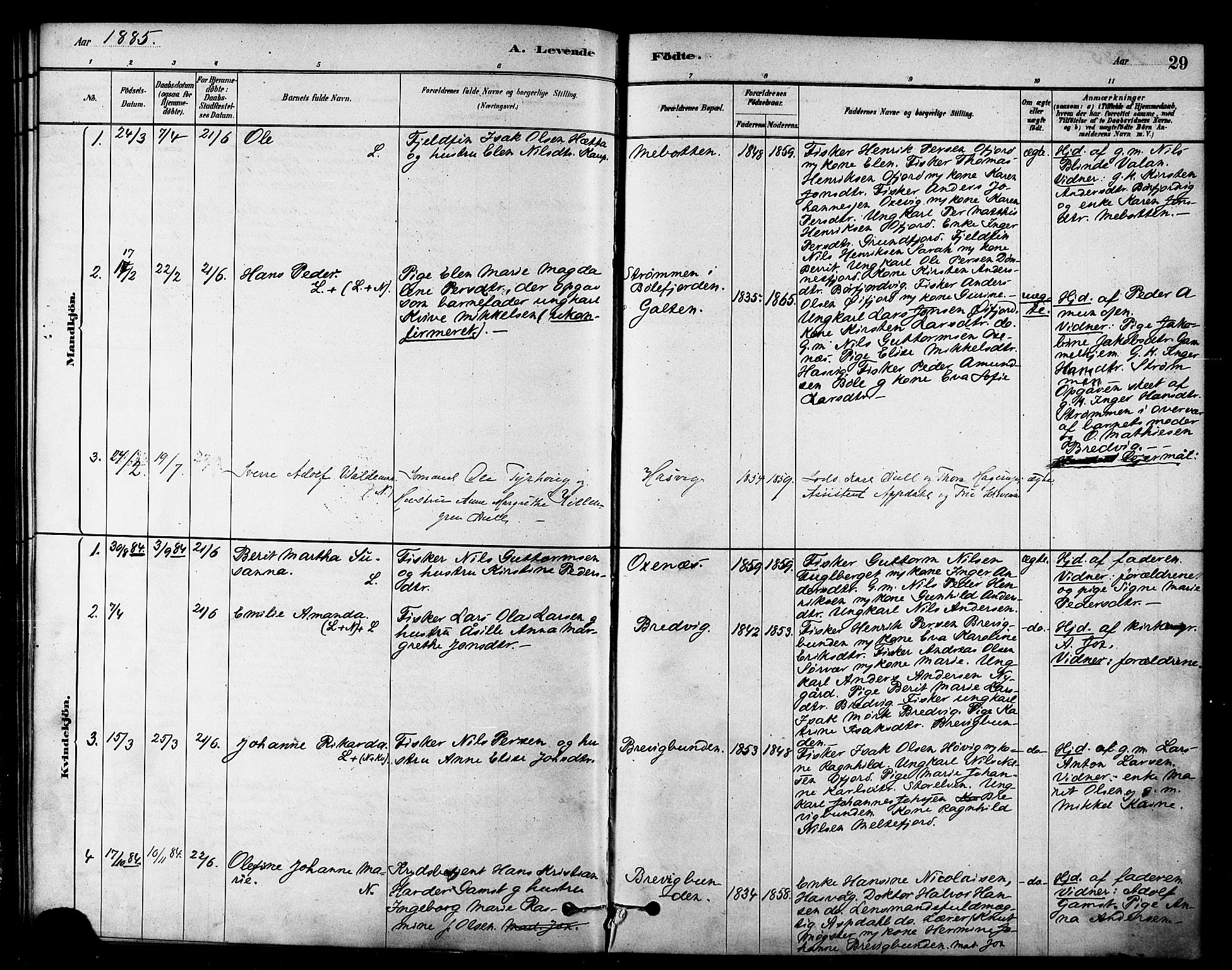 Loppa sokneprestkontor, SATØ/S-1339/H/Ha/L0007kirke: Parish register (official) no. 7, 1879-1889, p. 29