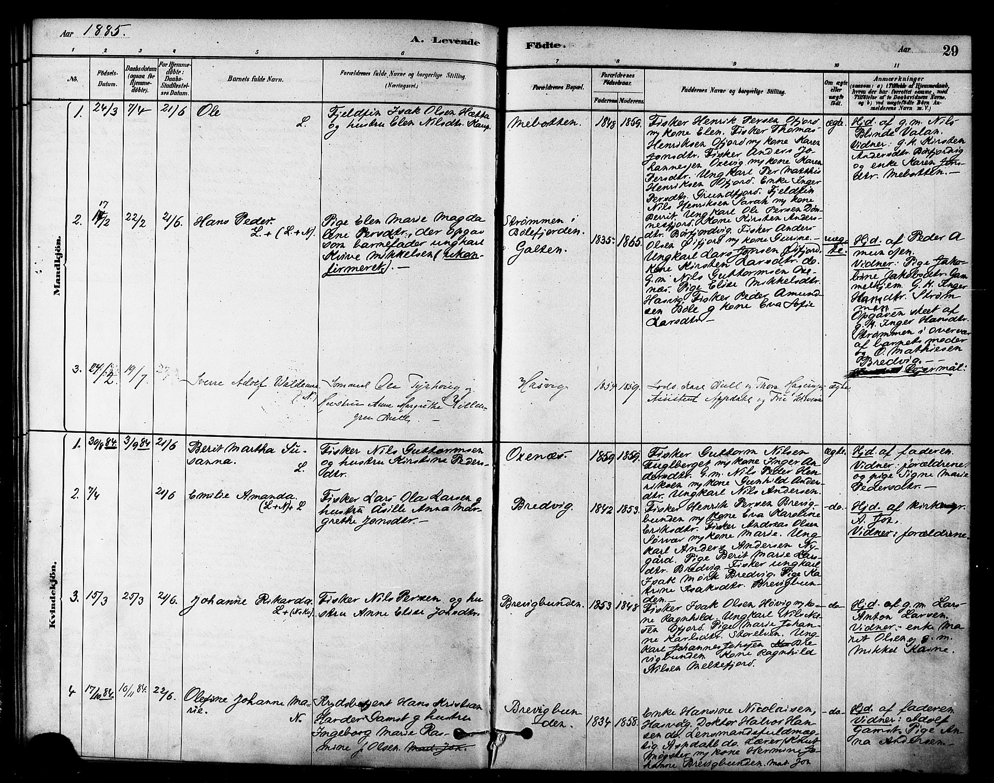 Loppa sokneprestkontor, AV/SATØ-S-1339/H/Ha/L0007kirke: Parish register (official) no. 7, 1879-1889, p. 29