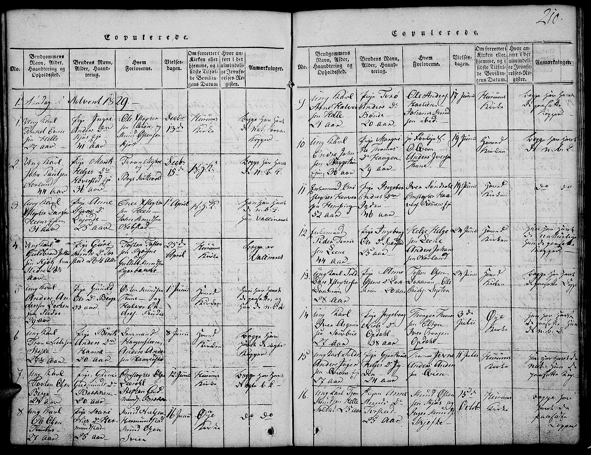 Vang prestekontor, Valdres, SAH/PREST-140/H/Hb/L0002: Parish register (copy) no. 2, 1814-1889, p. 210
