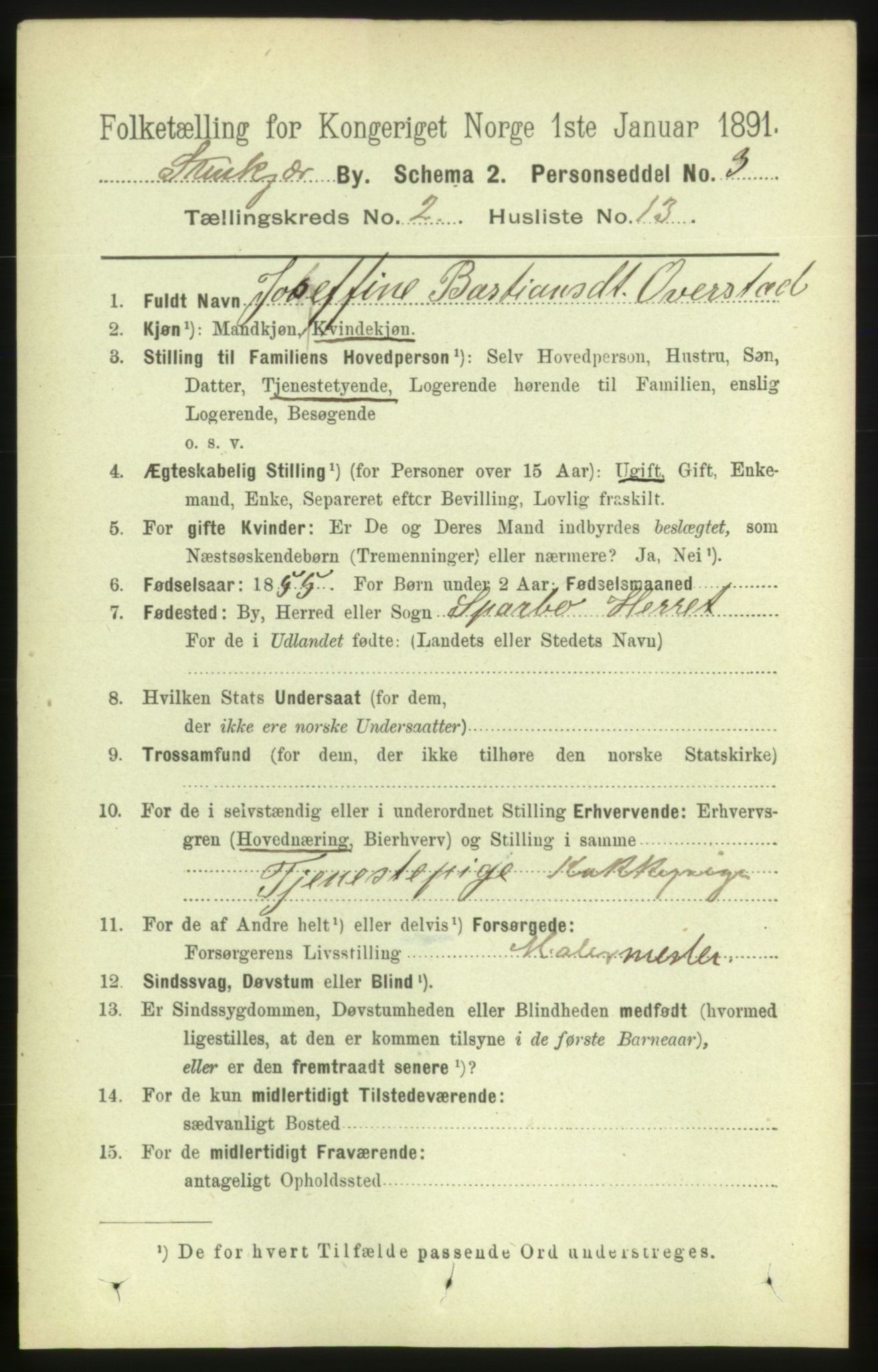 RA, 1891 census for 1702 Steinkjer, 1891, p. 443