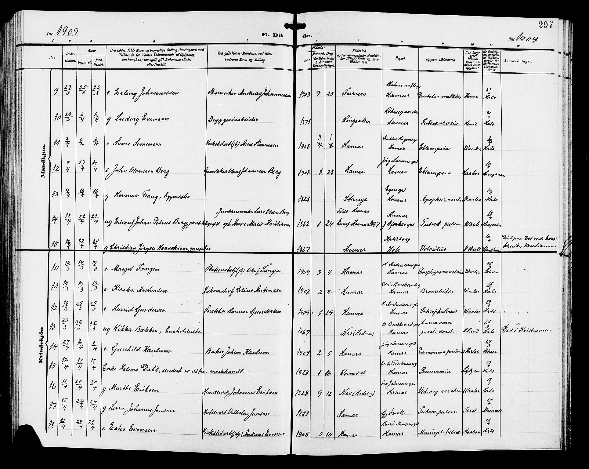 Hamar prestekontor, SAH/DOMPH-002/H/Ha/Hab/L0001: Parish register (copy) no. 1, 1899-1914, p. 297