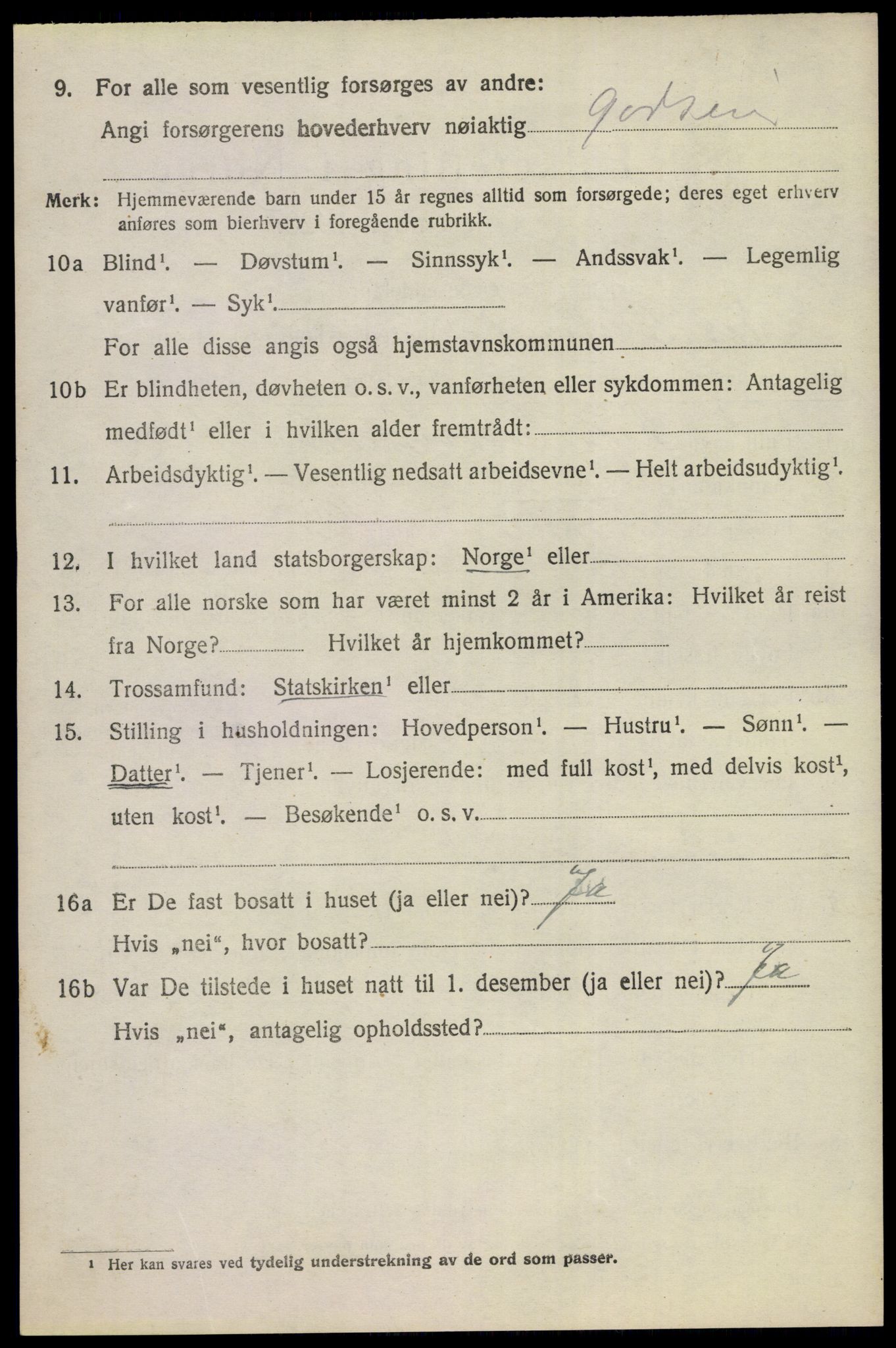 SAKO, 1920 census for Nes (Buskerud), 1920, p. 1917