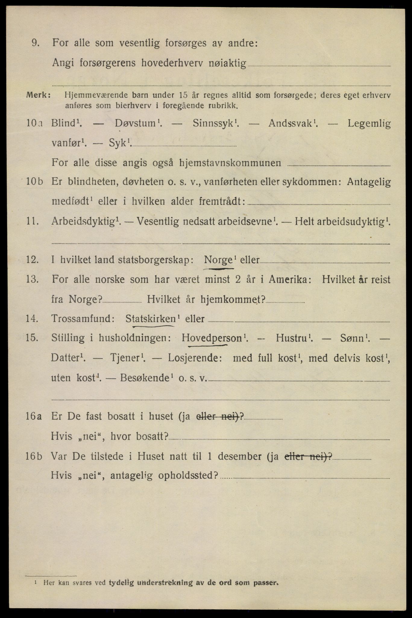 SAKO, 1920 census for Kragerø, 1920, p. 11064