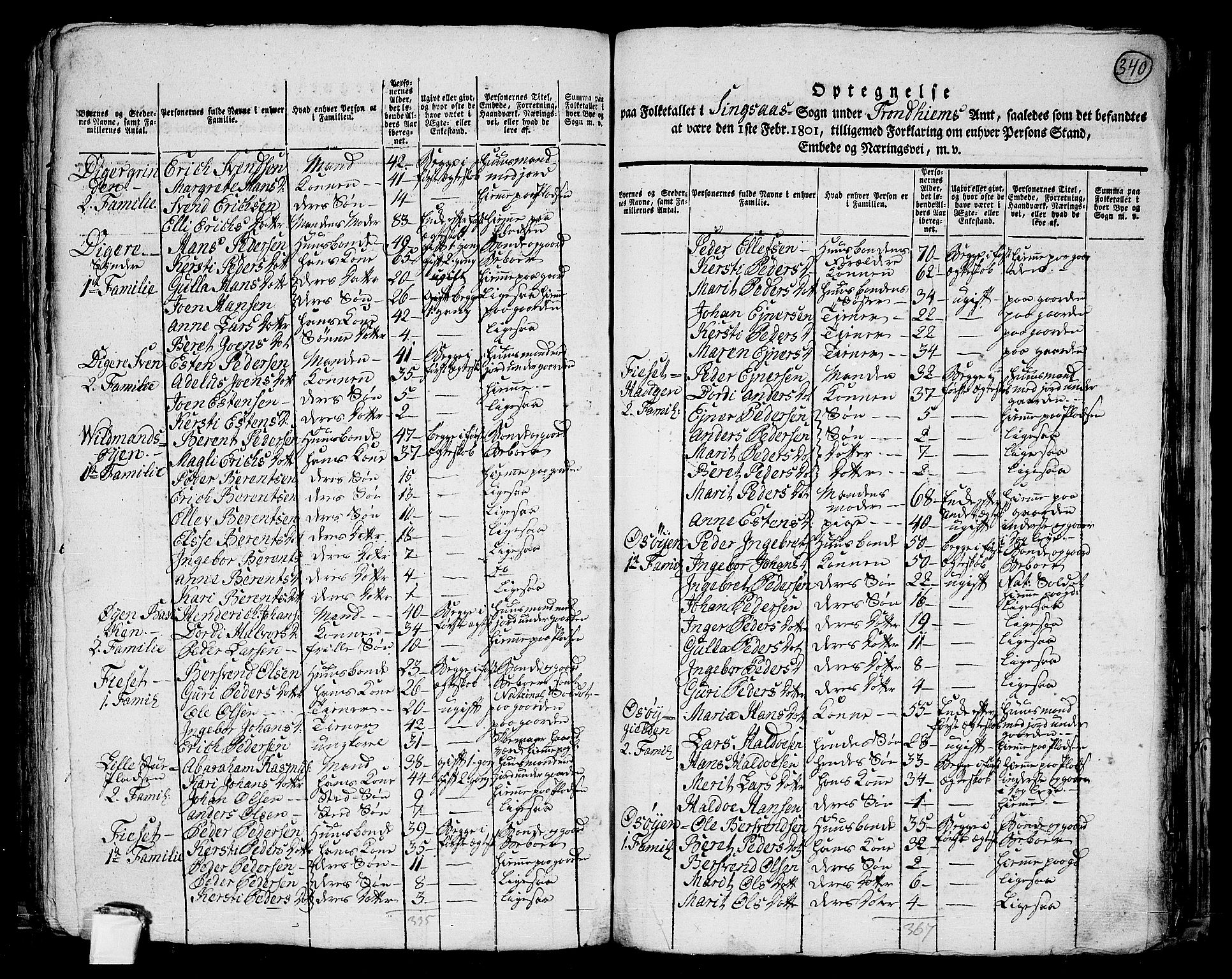 RA, 1801 census for 1645P Haltdalen, 1801, p. 339b-340a