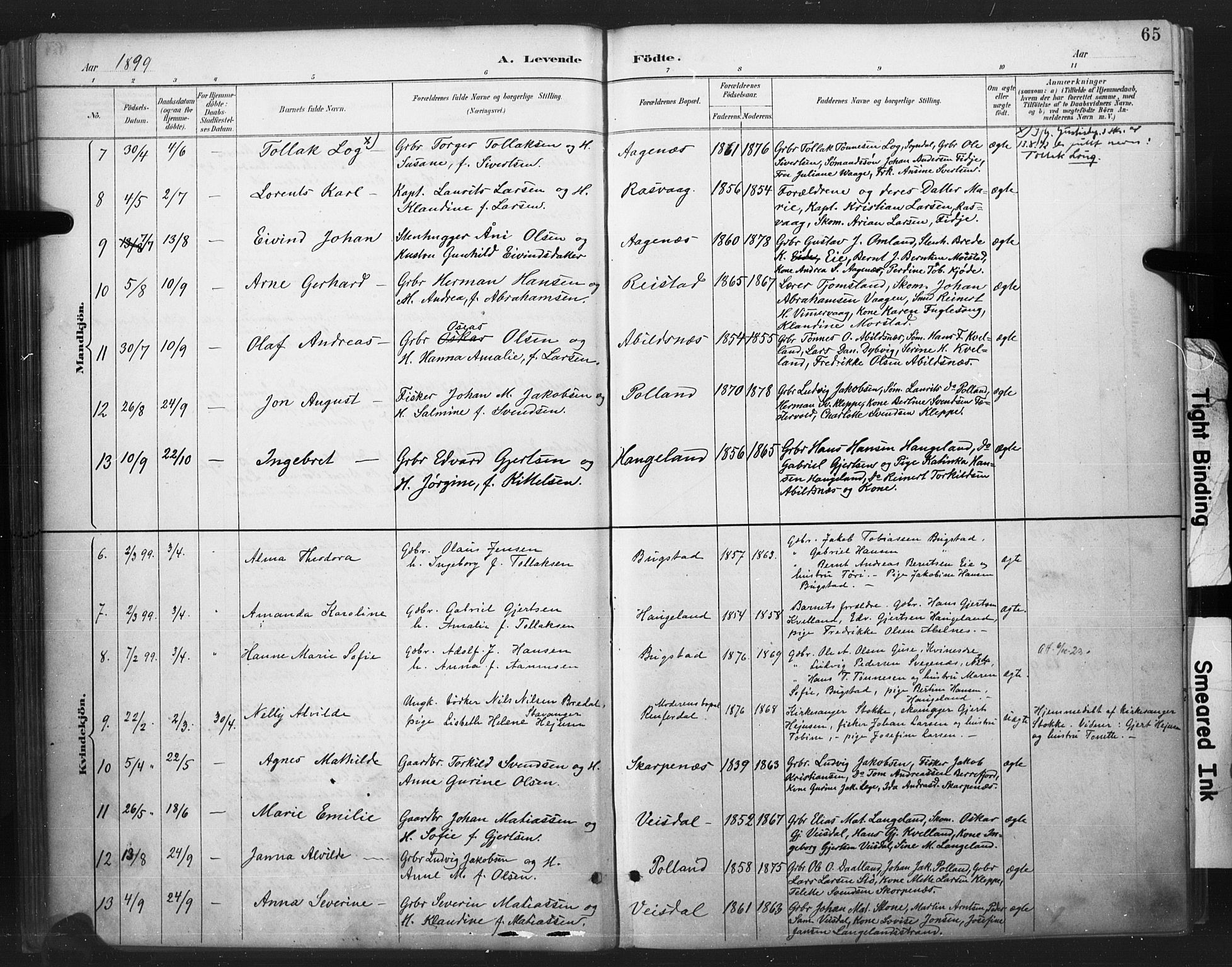 Flekkefjord sokneprestkontor, AV/SAK-1111-0012/F/Fa/Fab/L0006: Parish register (official) no. A 6, 1886-1901, p. 65