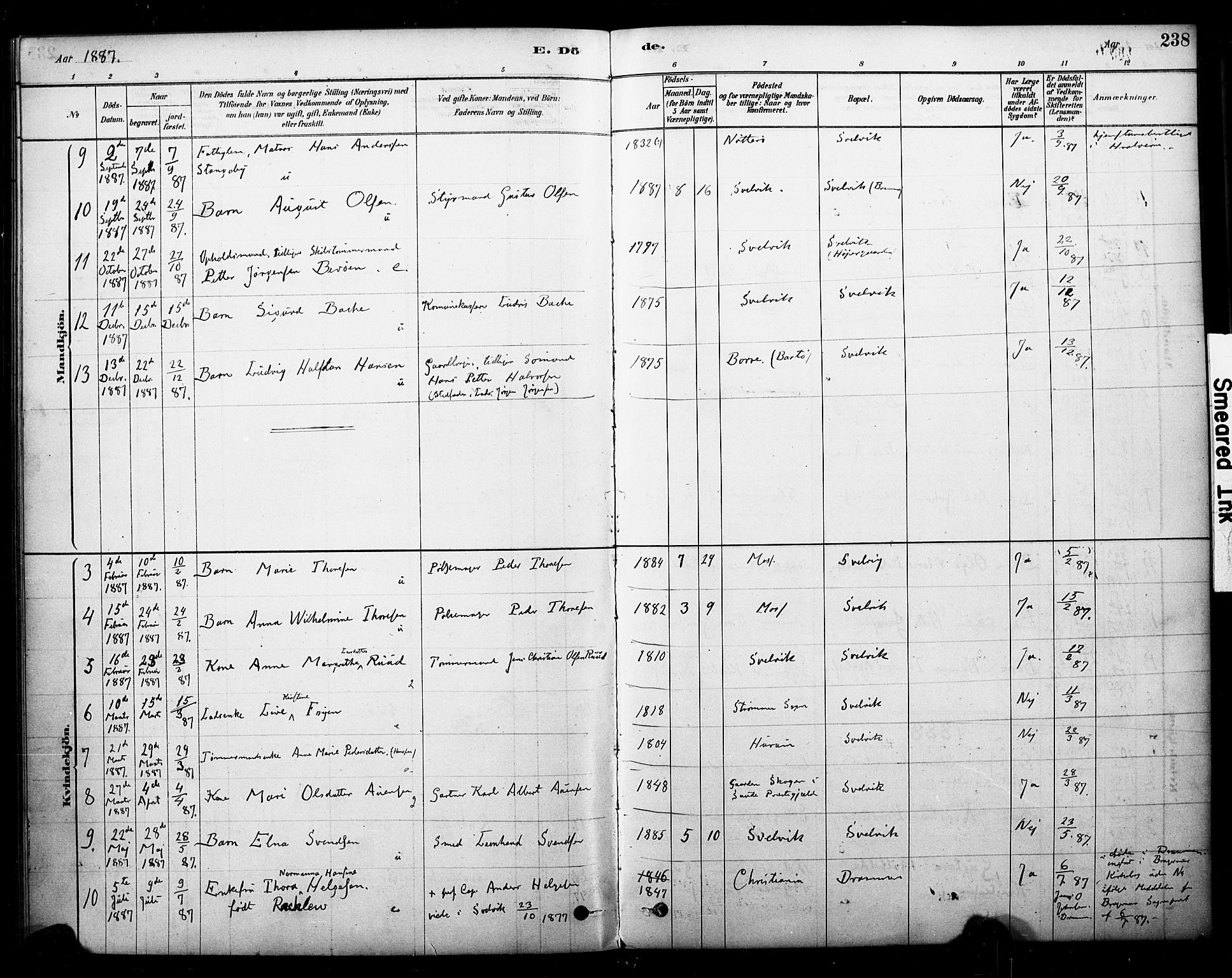 Strømm kirkebøker, SAKO/A-322/F/Fb/L0001: Parish register (official) no. II 1, 1878-1899, p. 238