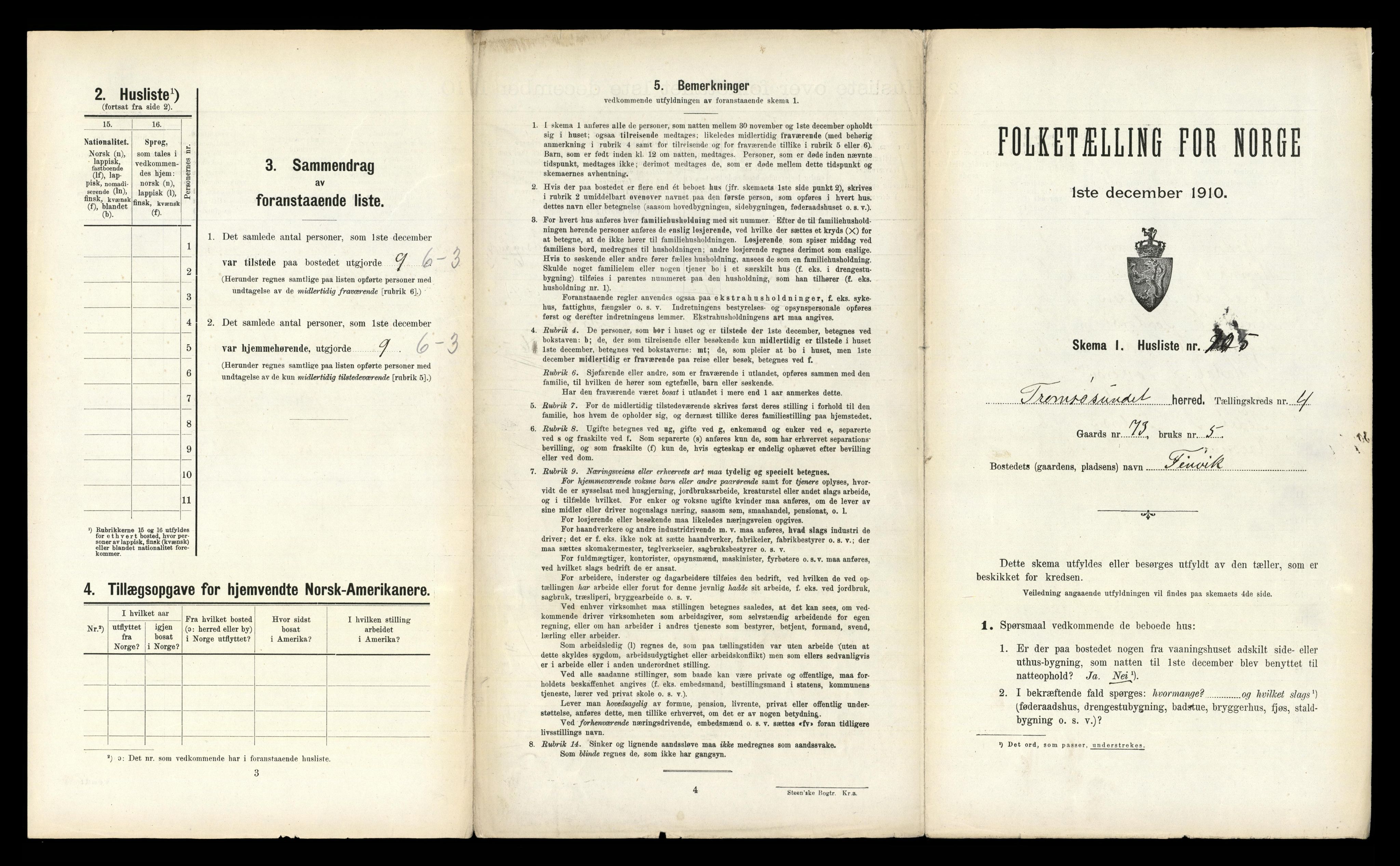 RA, 1910 census for Tromsøysund, 1910, p. 1019