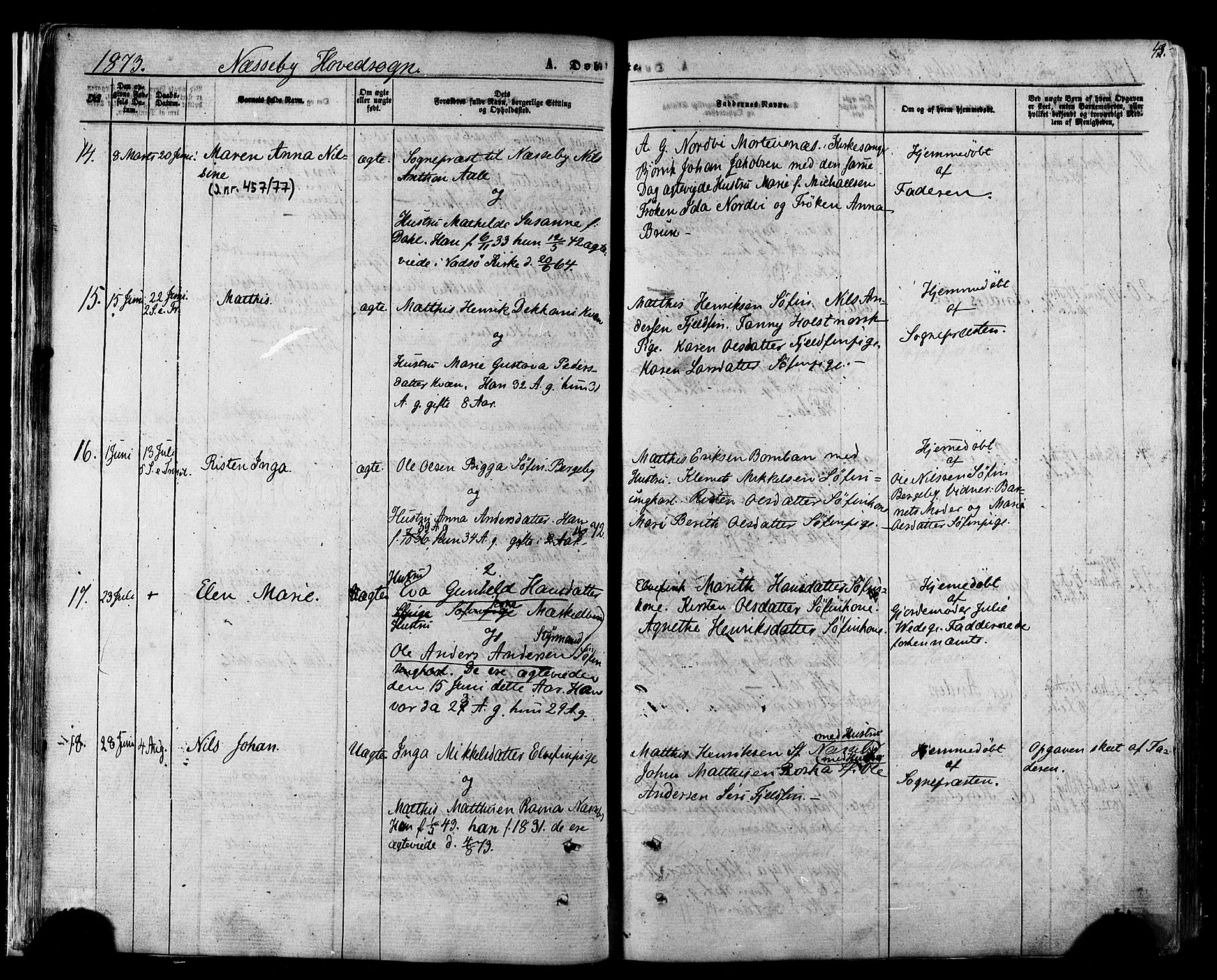 Nesseby sokneprestkontor, SATØ/S-1330/H/Ha/L0003kirke: Parish register (official) no. 3 /1, 1865-1876, p. 43