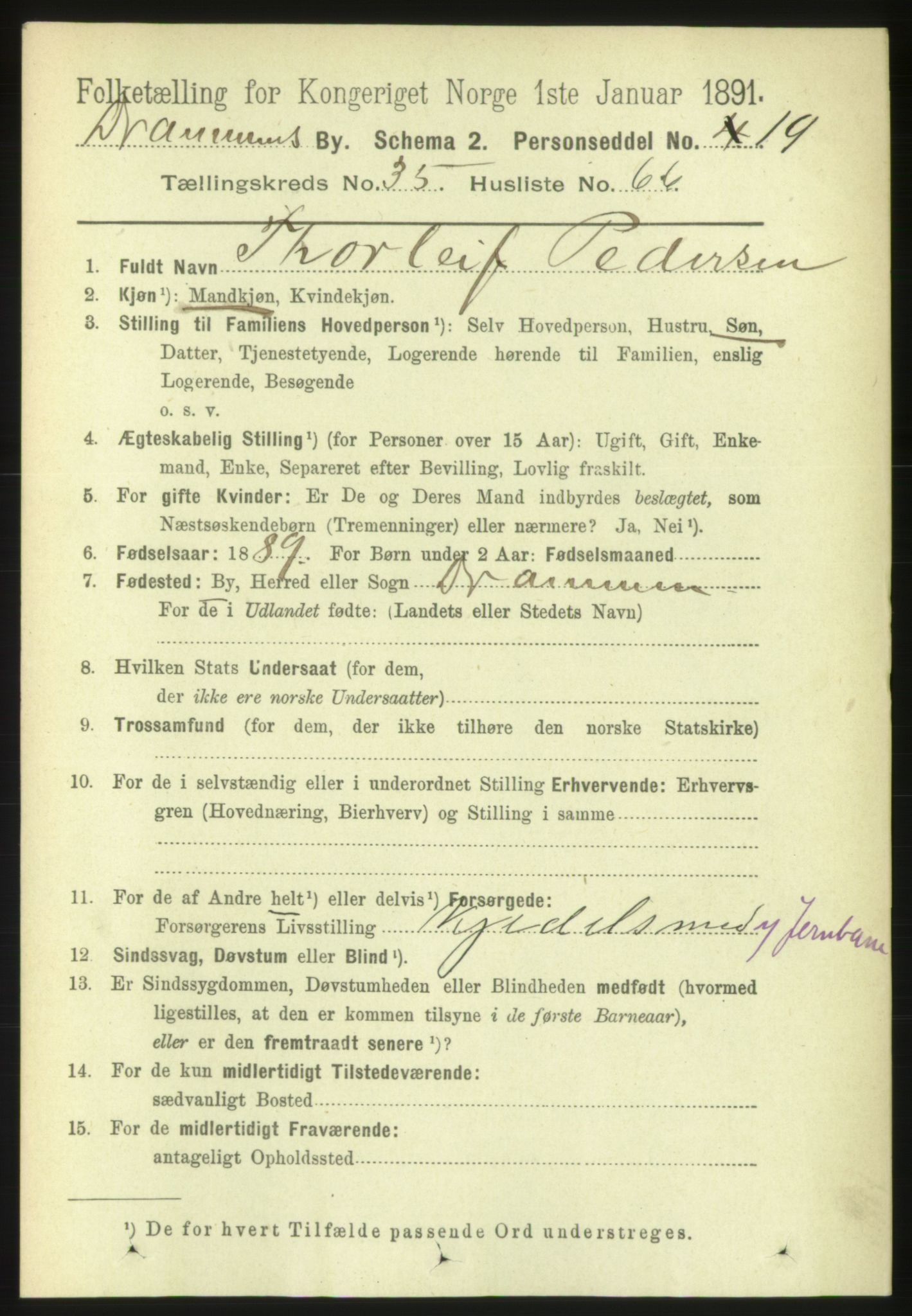 RA, 1891 census for 0602 Drammen, 1891, p. 21916