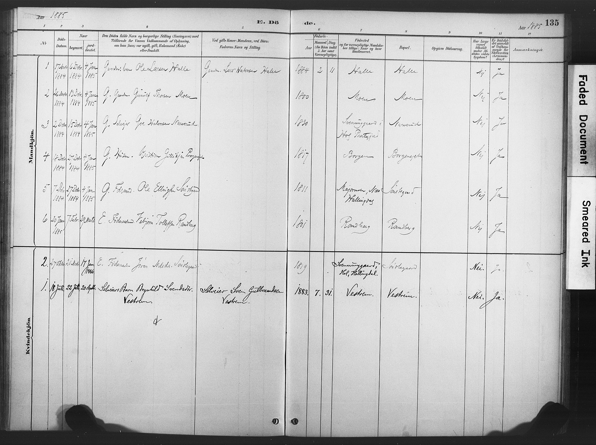 Nore kirkebøker, AV/SAKO-A-238/F/Fd/L0001: Parish register (official) no. IV 1, 1878-1918, p. 135