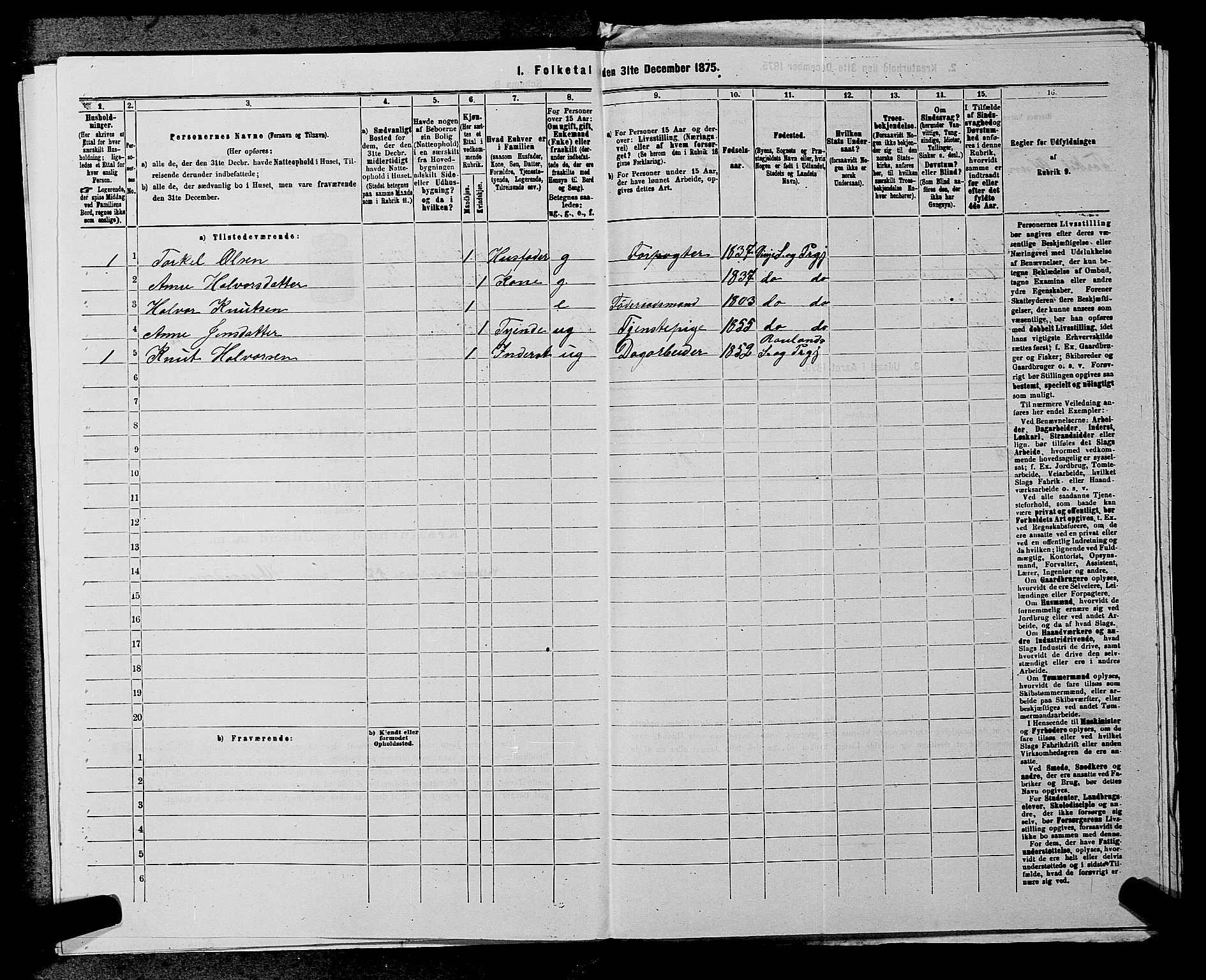 SAKO, 1875 census for 0834P Vinje, 1875, p. 314