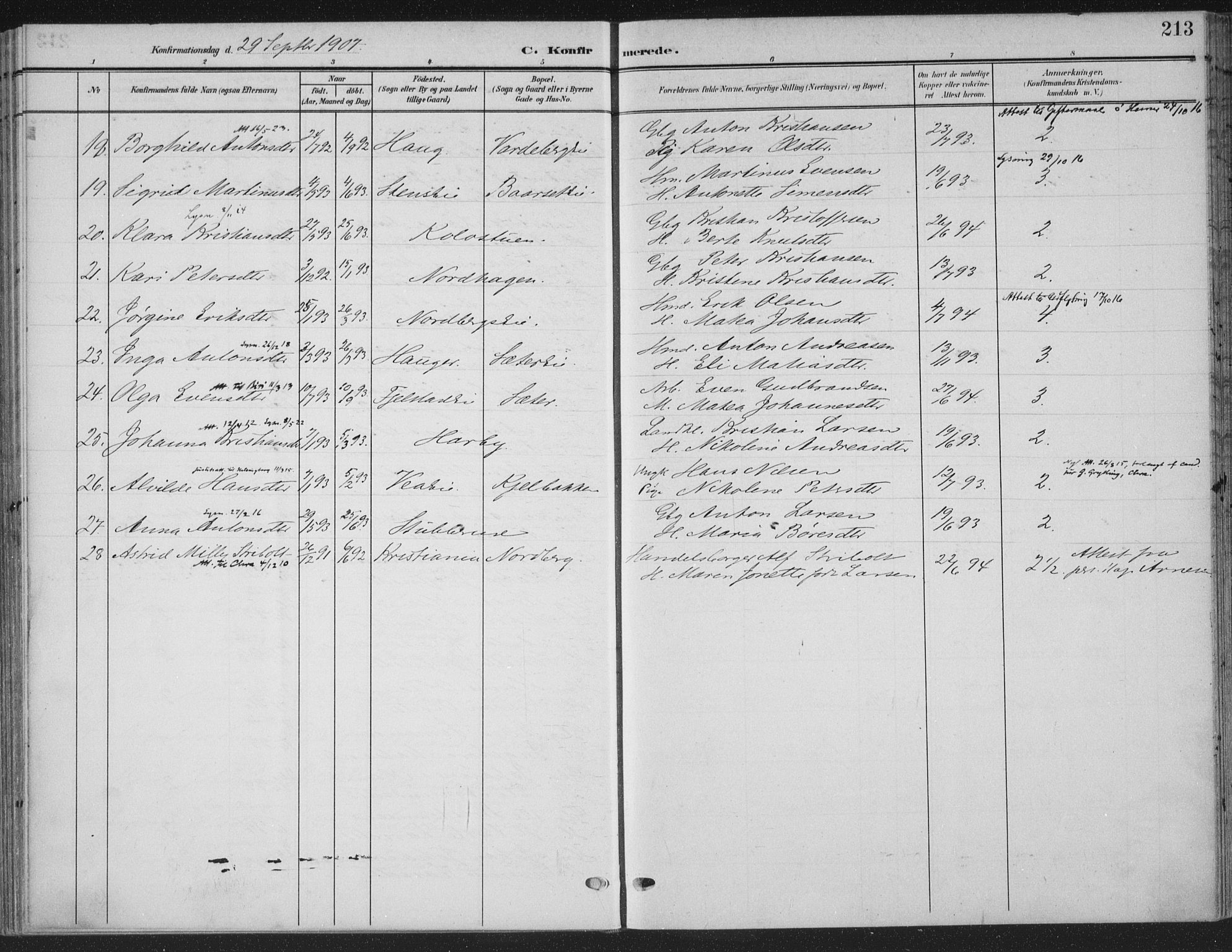 Ringsaker prestekontor, AV/SAH-PREST-014/K/Ka/L0018: Parish register (official) no. 18, 1903-1912, p. 213