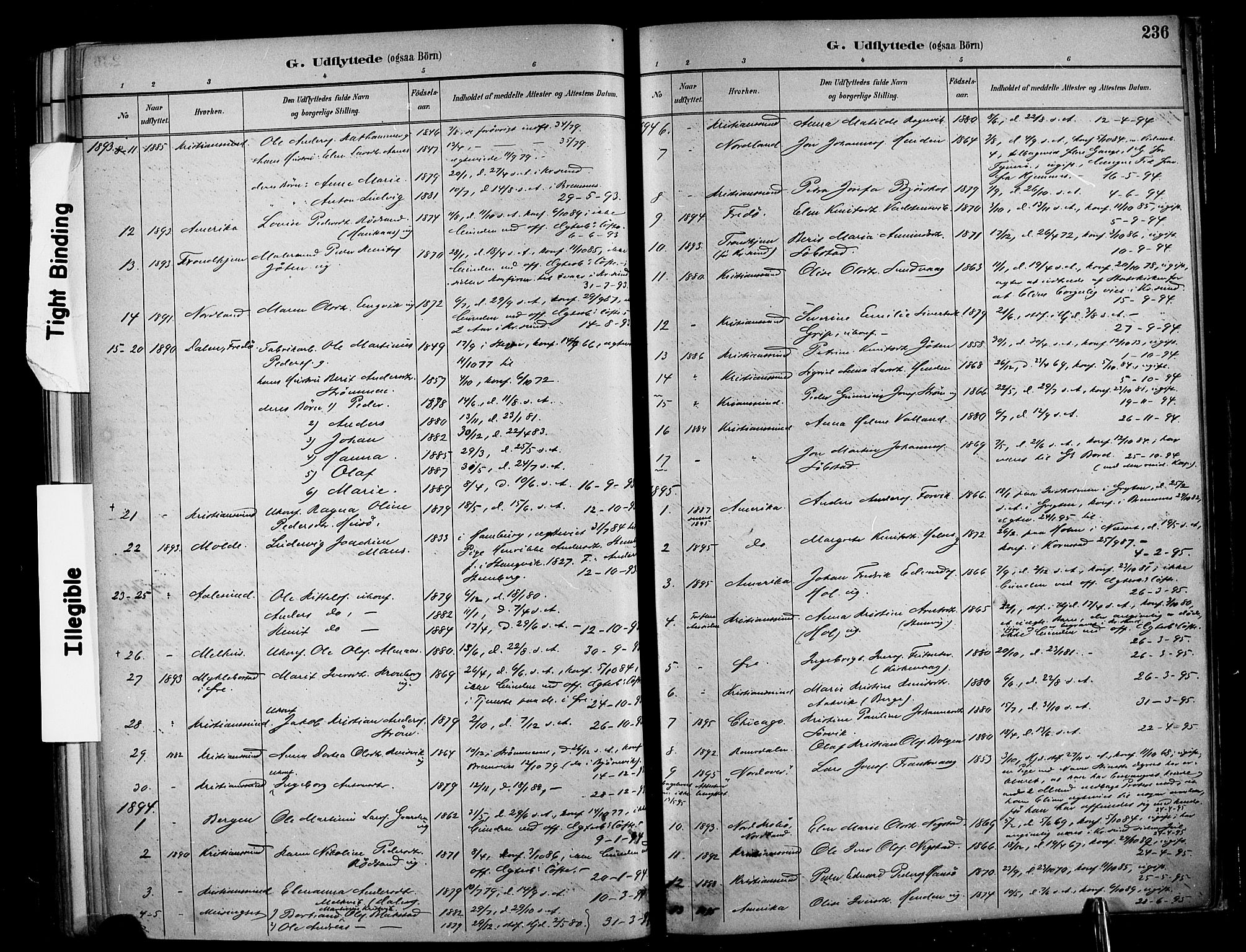 Ministerialprotokoller, klokkerbøker og fødselsregistre - Møre og Romsdal, AV/SAT-A-1454/569/L0819: Parish register (official) no. 569A05, 1885-1899, p. 236